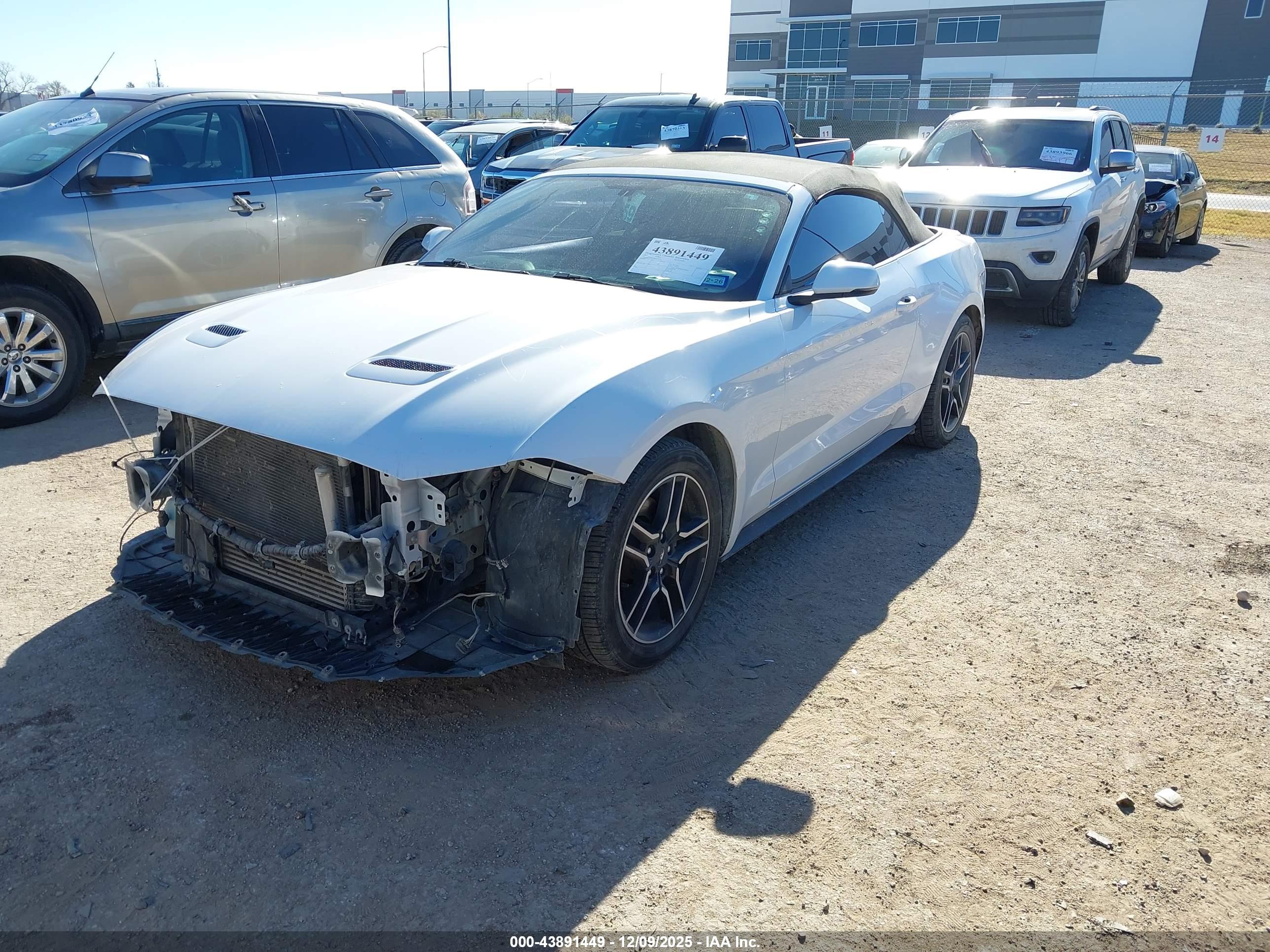 FORD MUSTANG image 2
