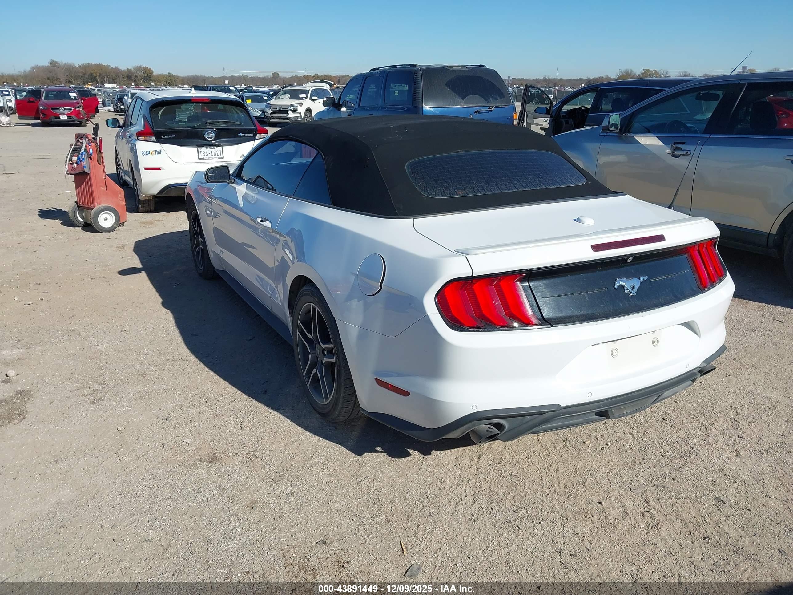 FORD MUSTANG image 3