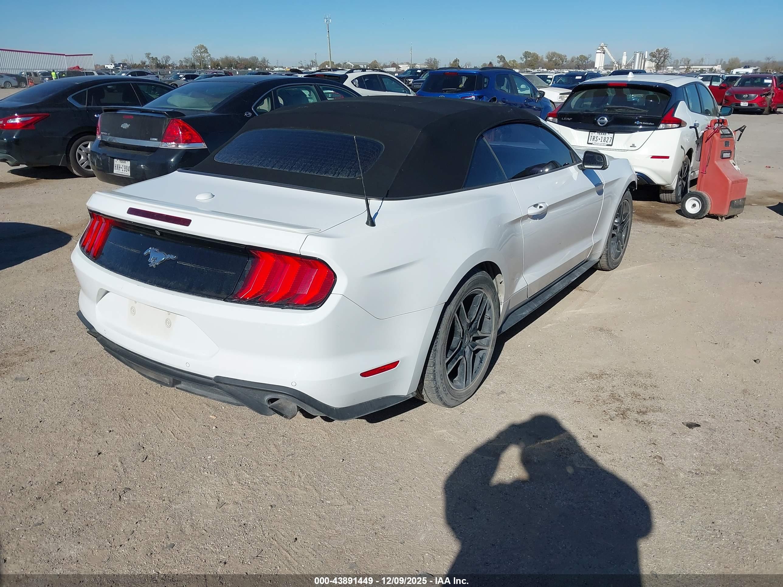FORD MUSTANG image 4