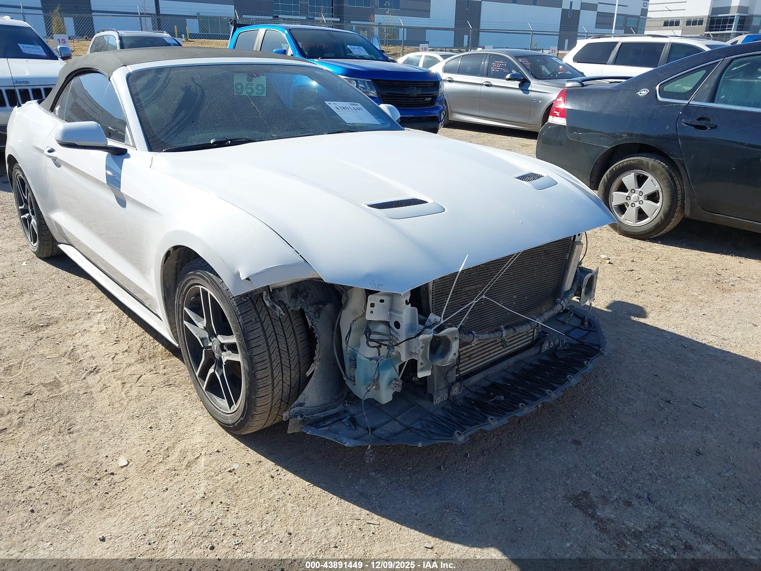 FORD MUSTANG image 6