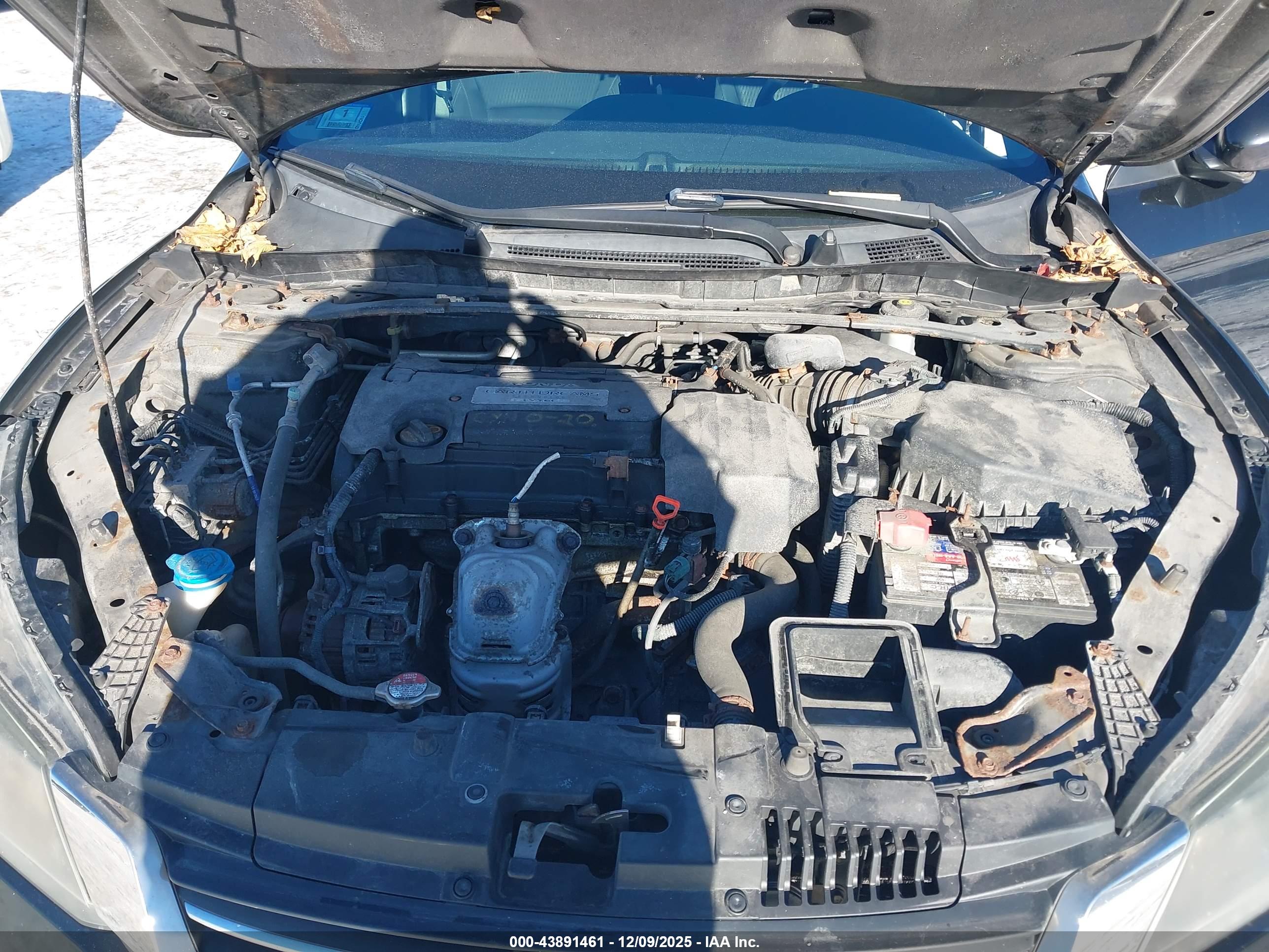 HONDA ACCORD image 10