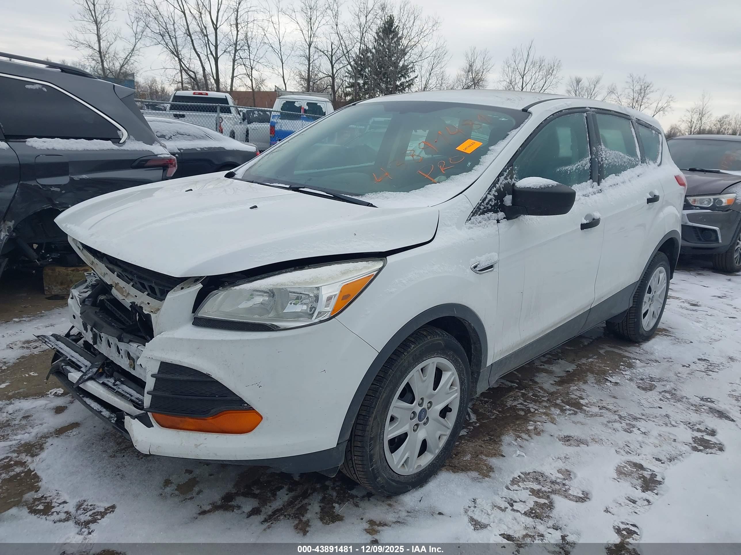 FORD ESCAPE image 2