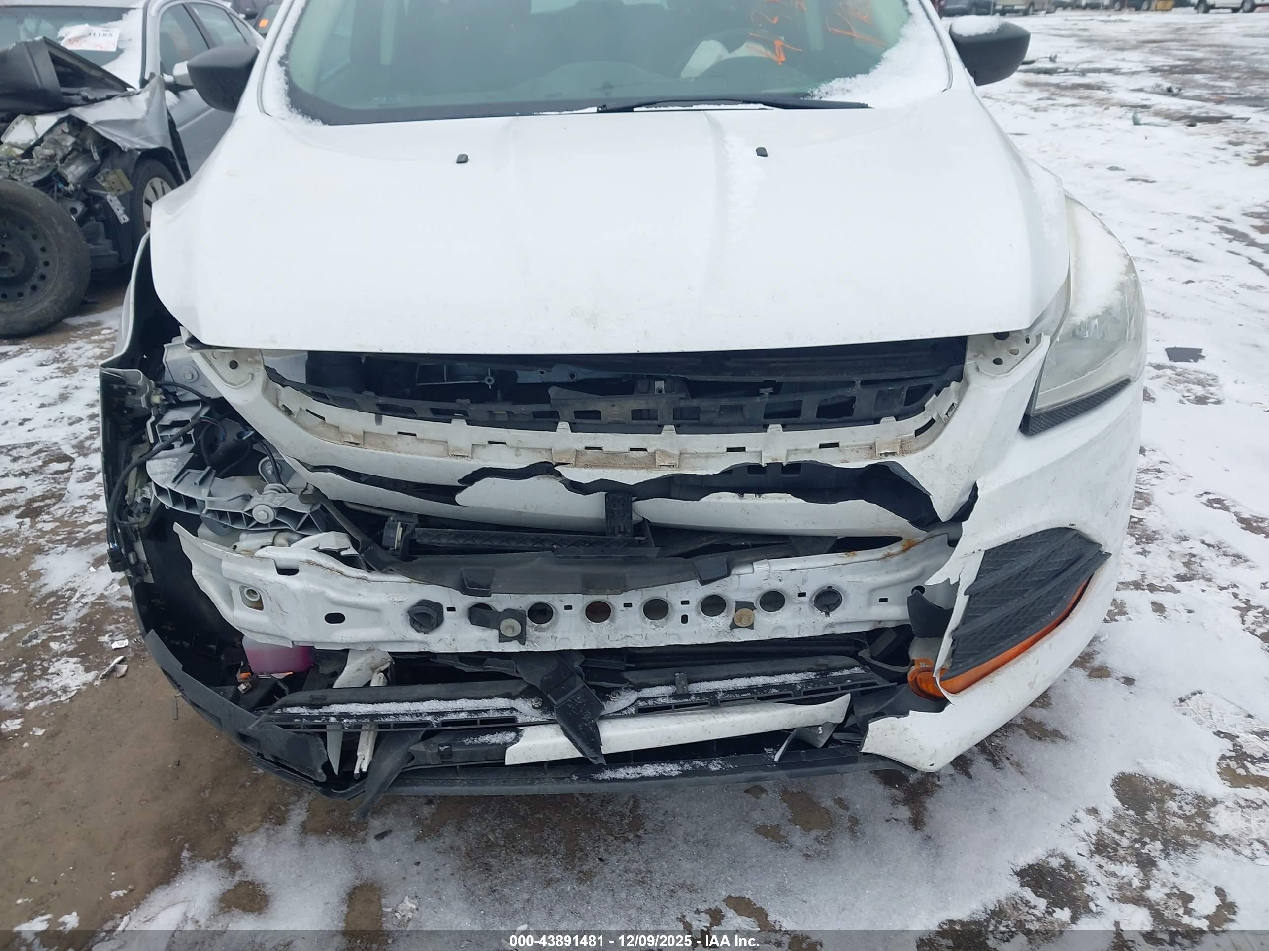 FORD ESCAPE image 6