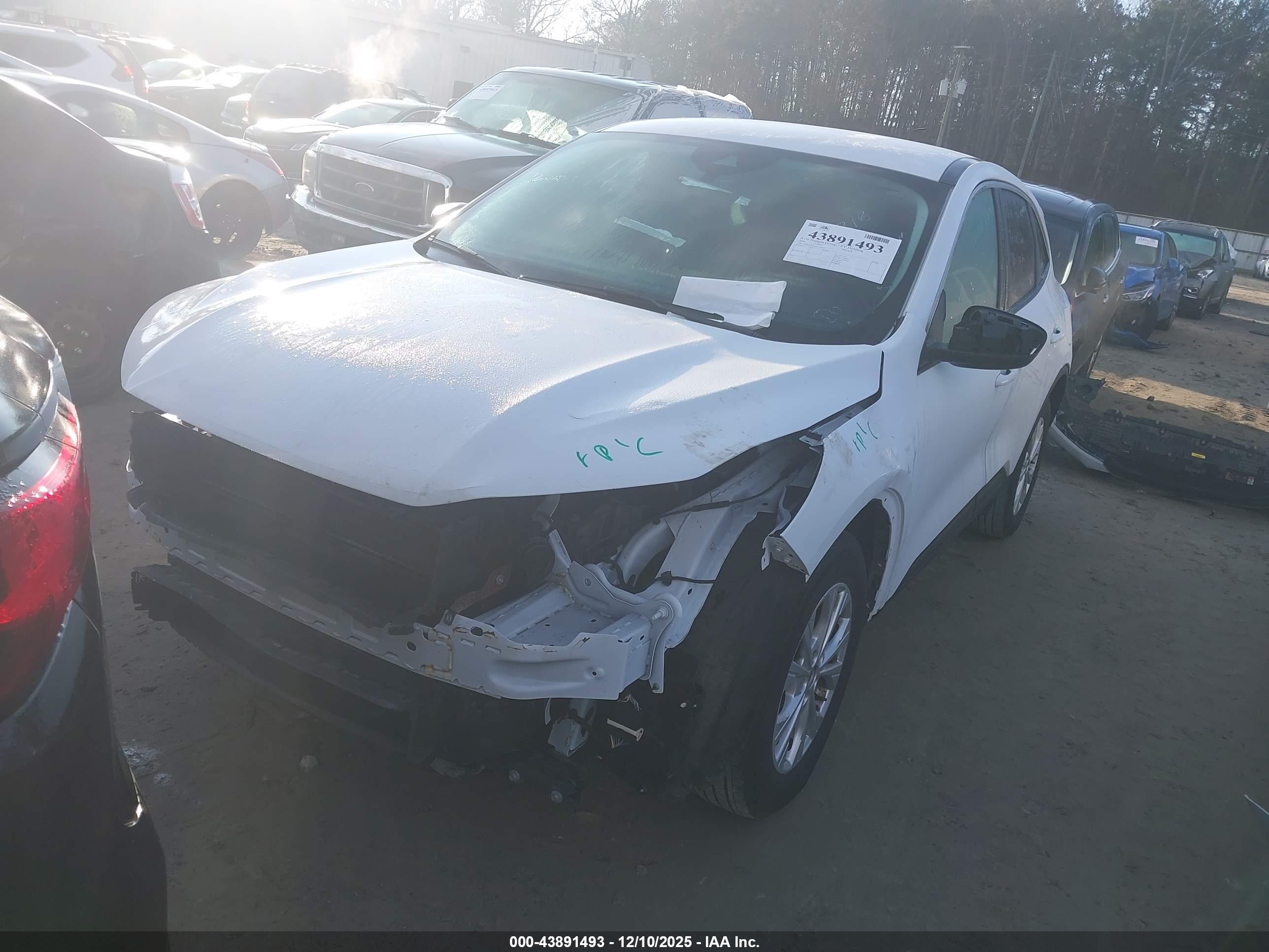 FORD ESCAPE image 2