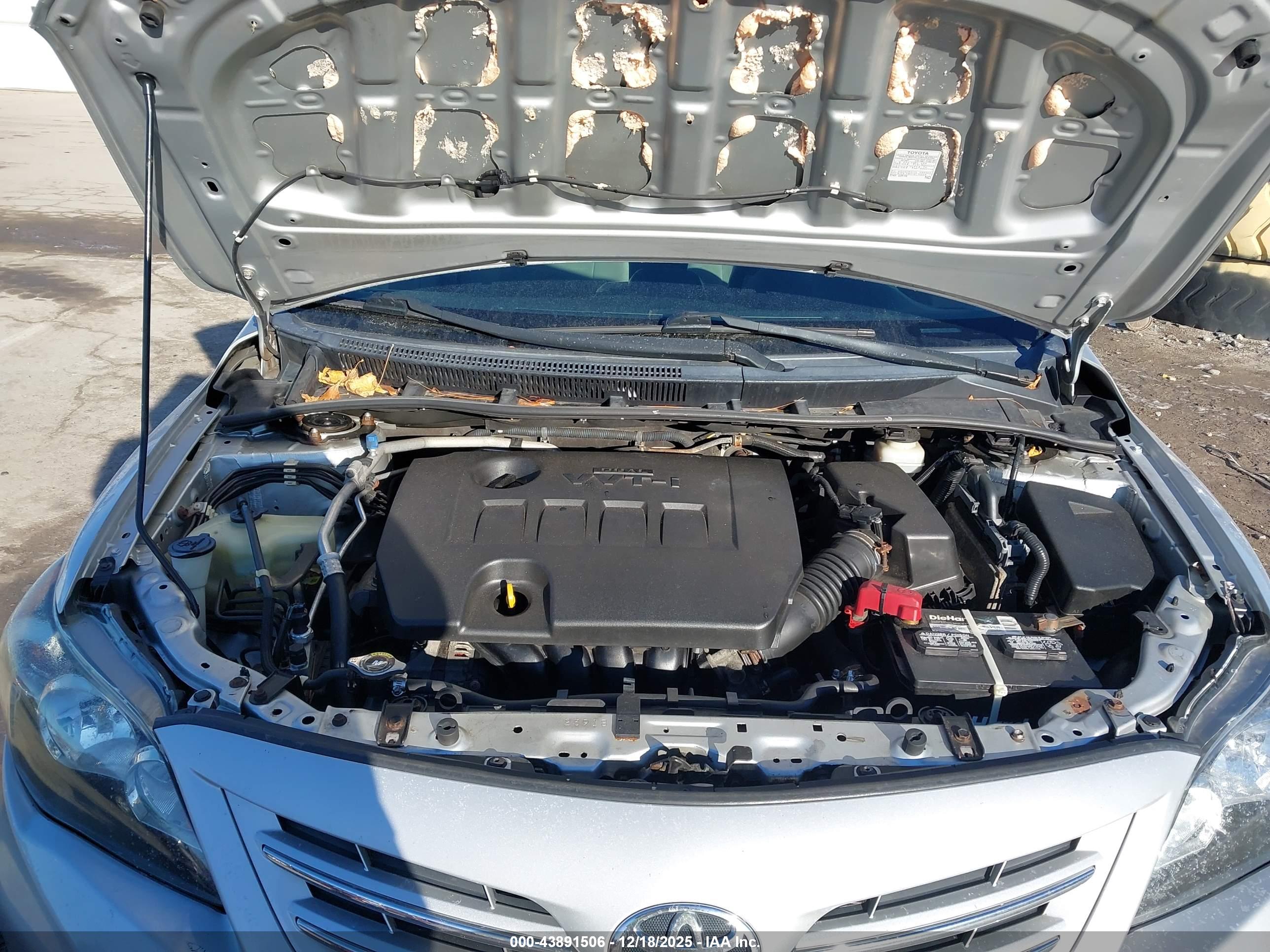 TOYOTA COROLLA image 10
