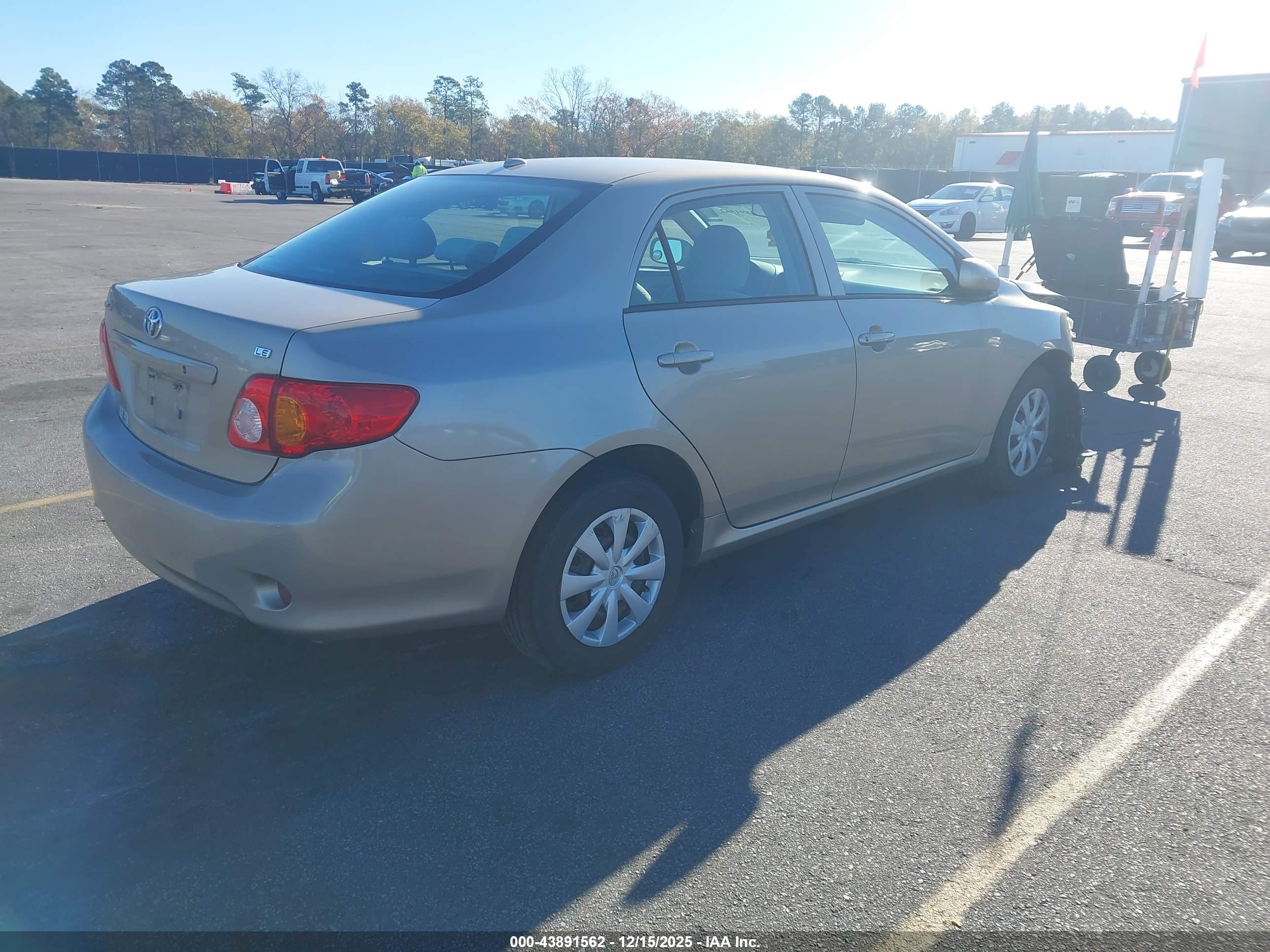 TOYOTA COROLLA image 4
