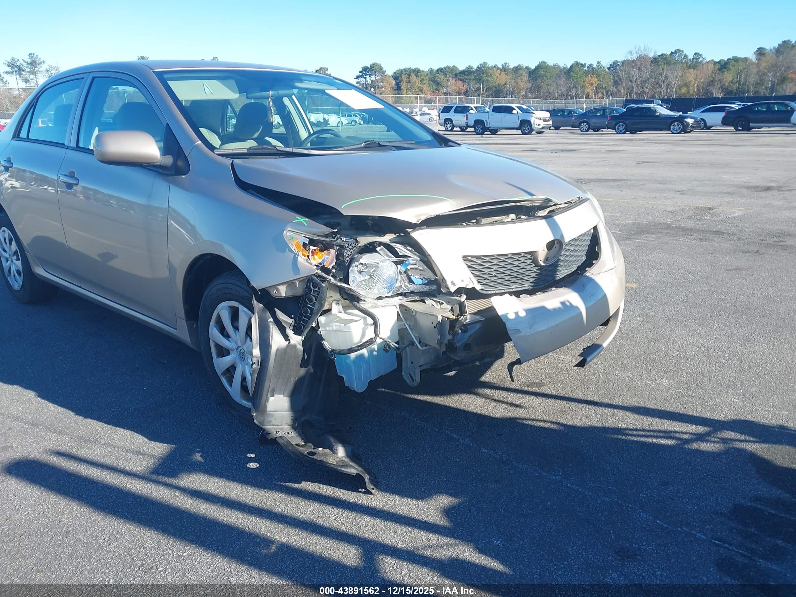 TOYOTA COROLLA image 6