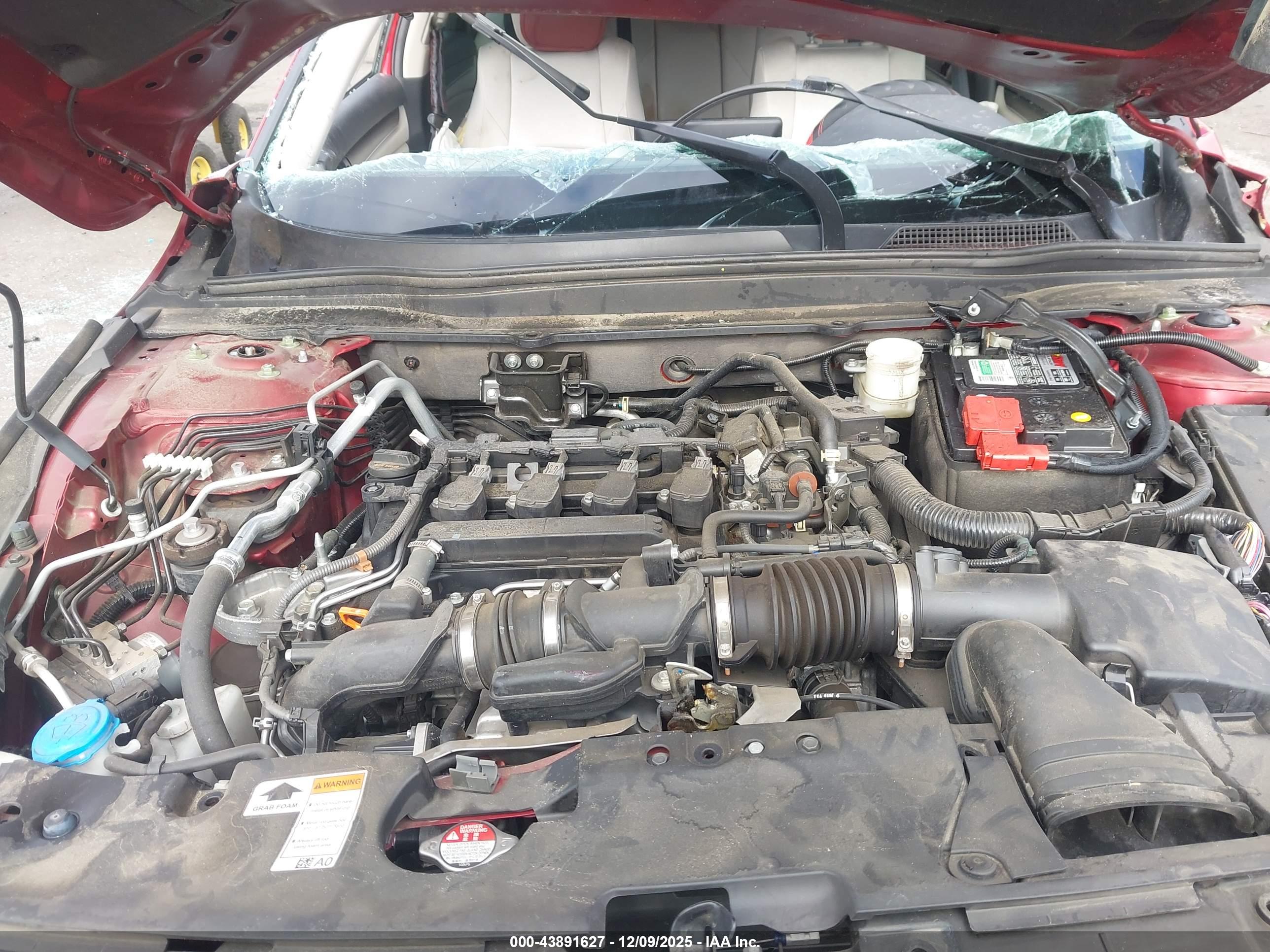 HONDA ACCORD image 10