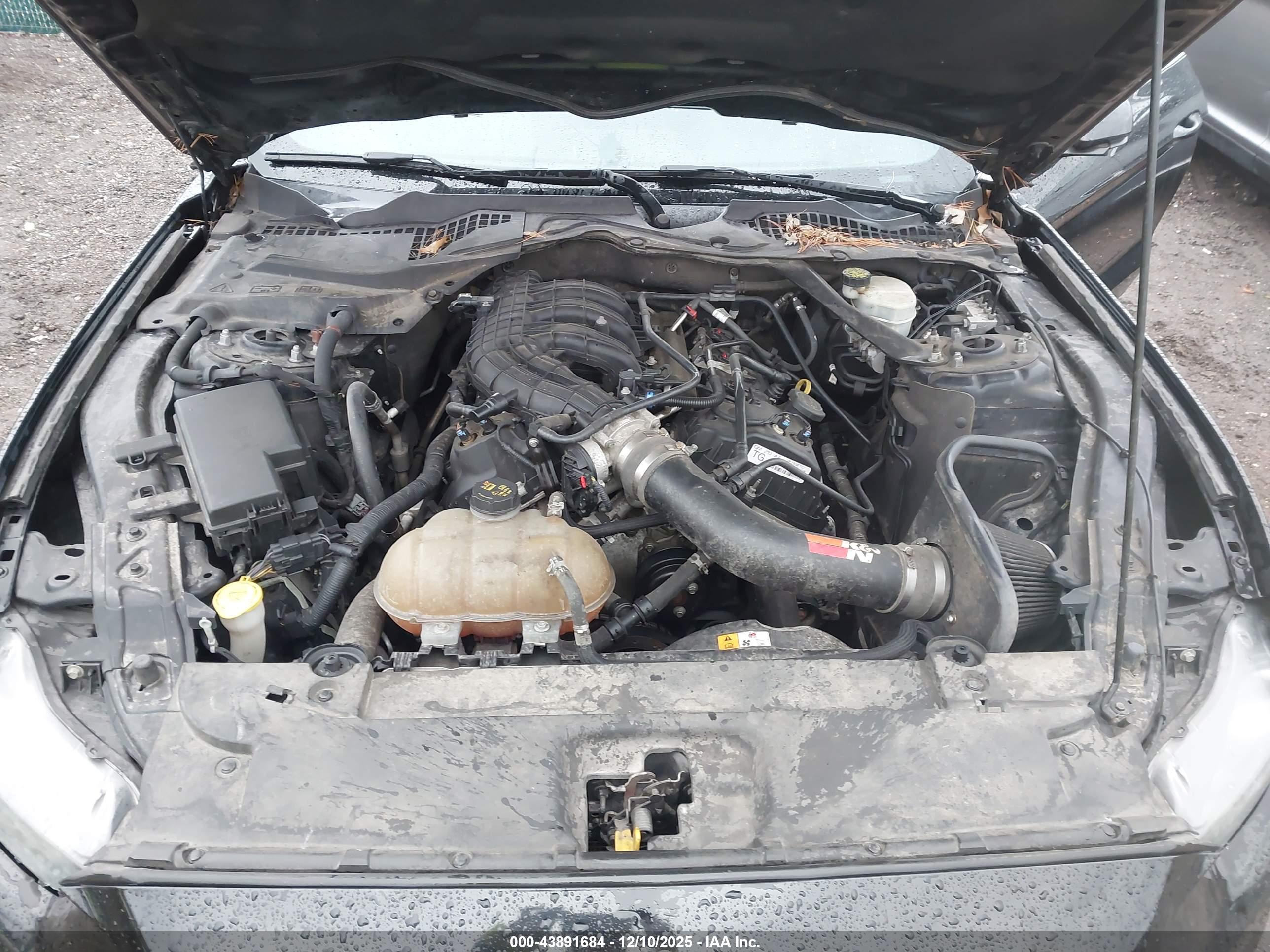 FORD MUSTANG image 10