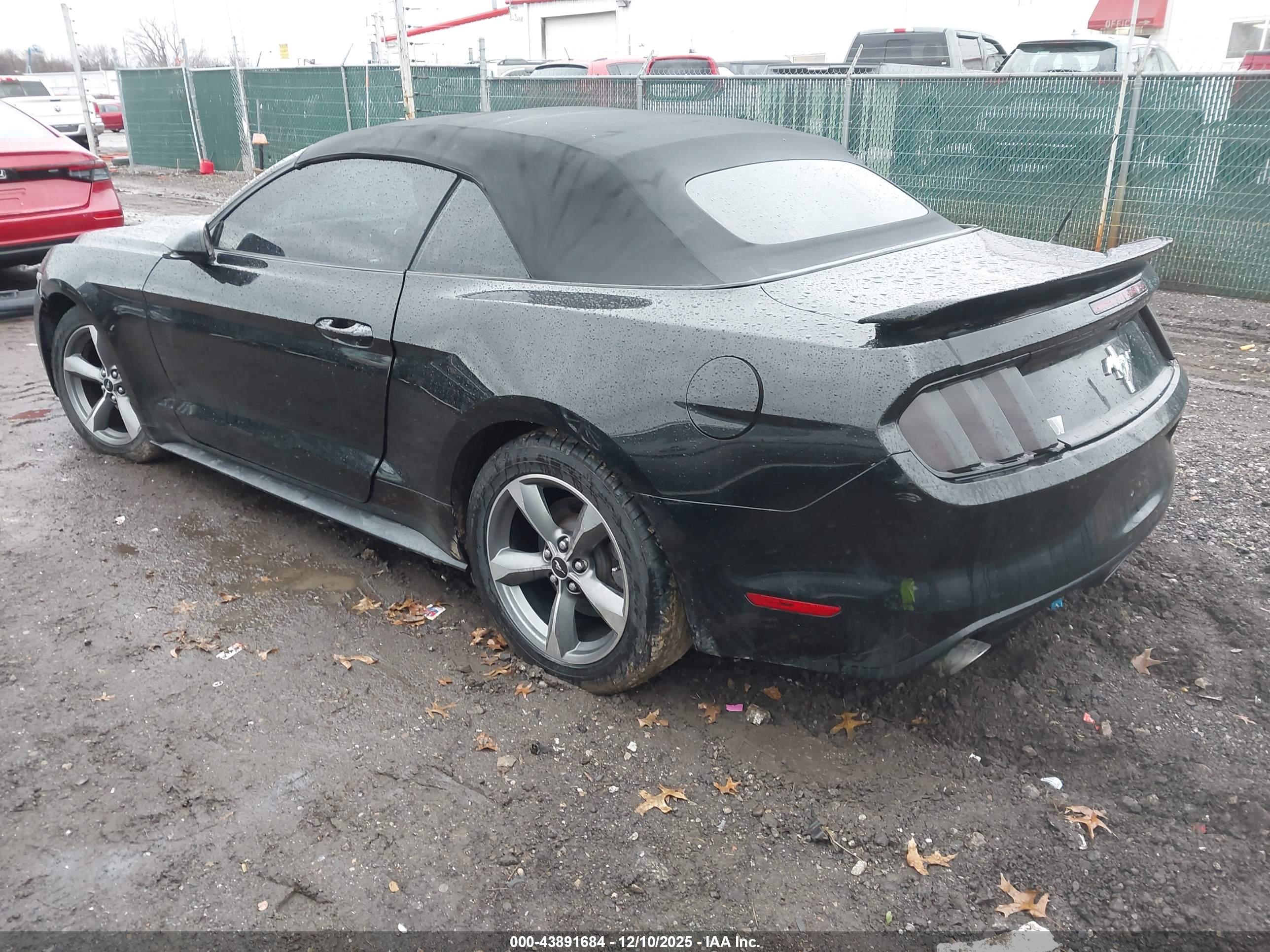 FORD MUSTANG image 3