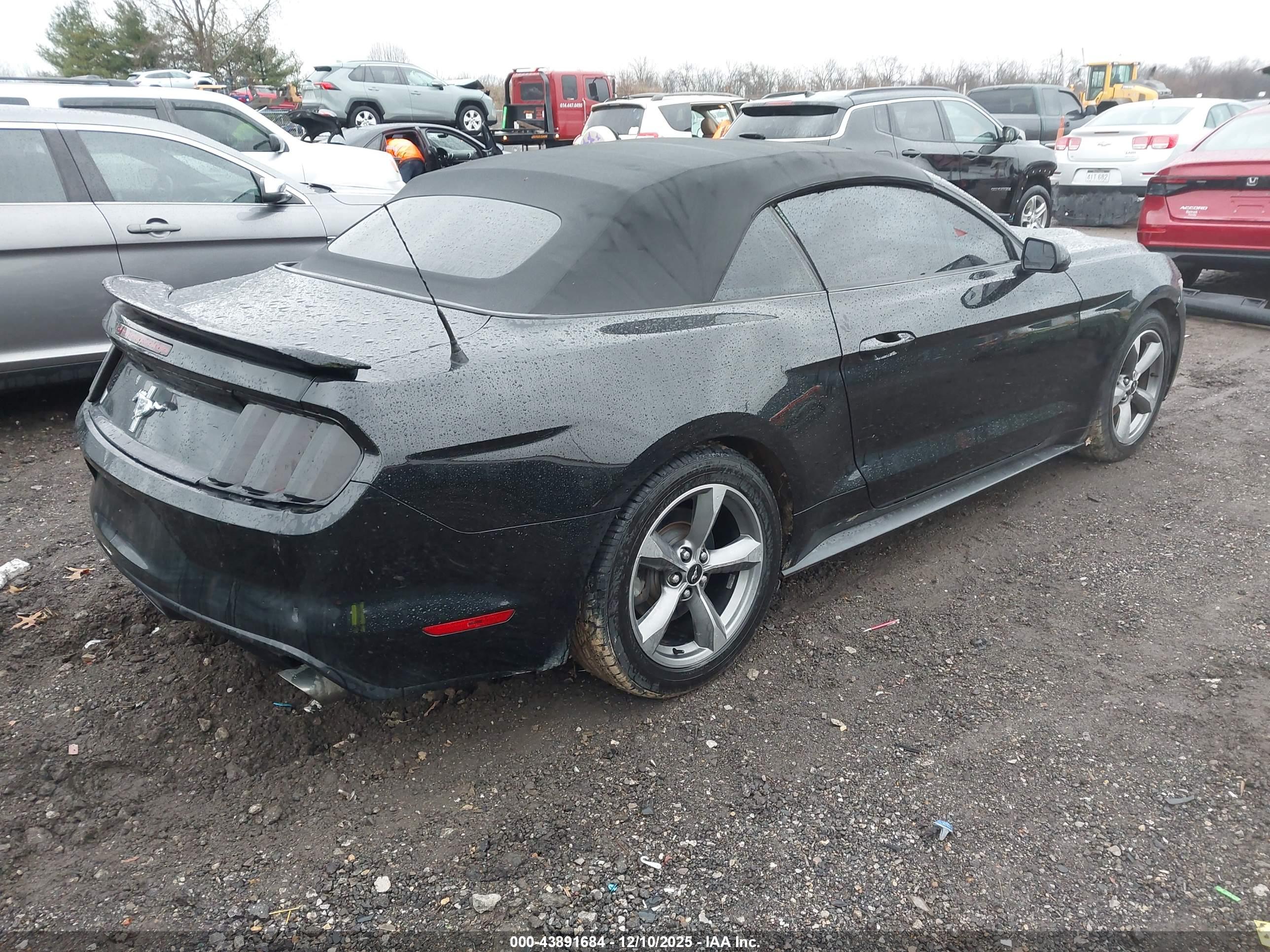 FORD MUSTANG image 4