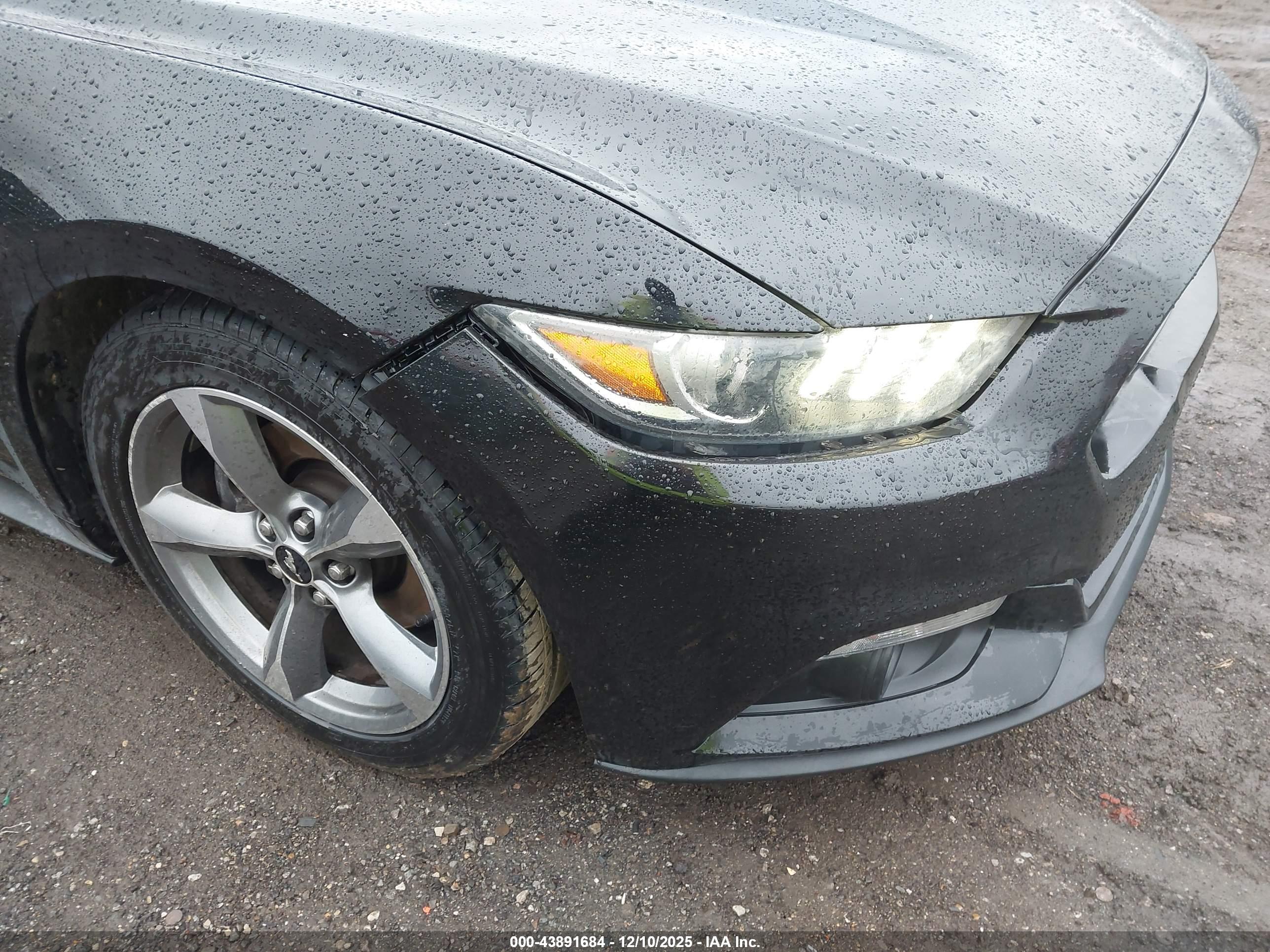 FORD MUSTANG image 6