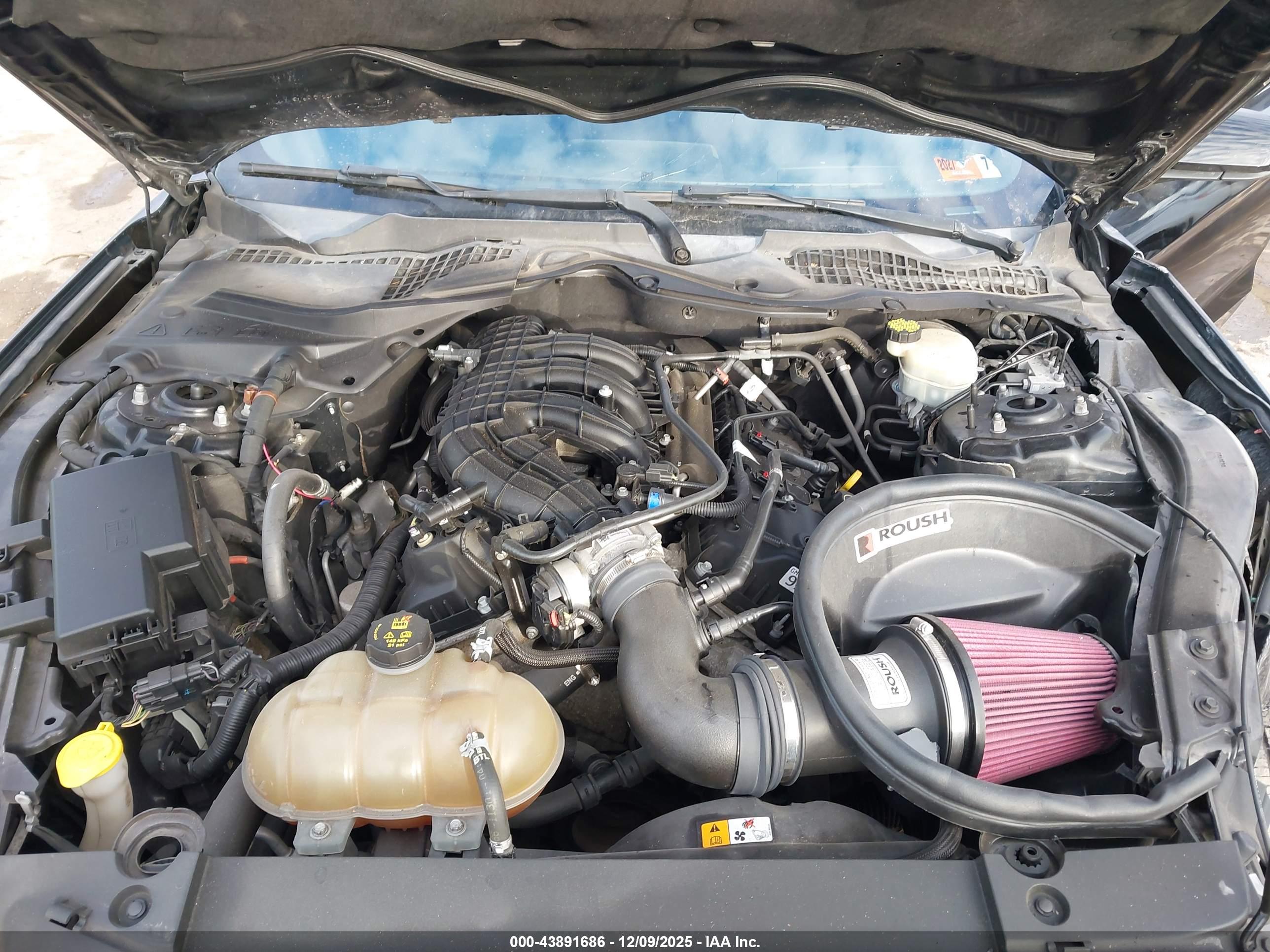FORD MUSTANG image 10