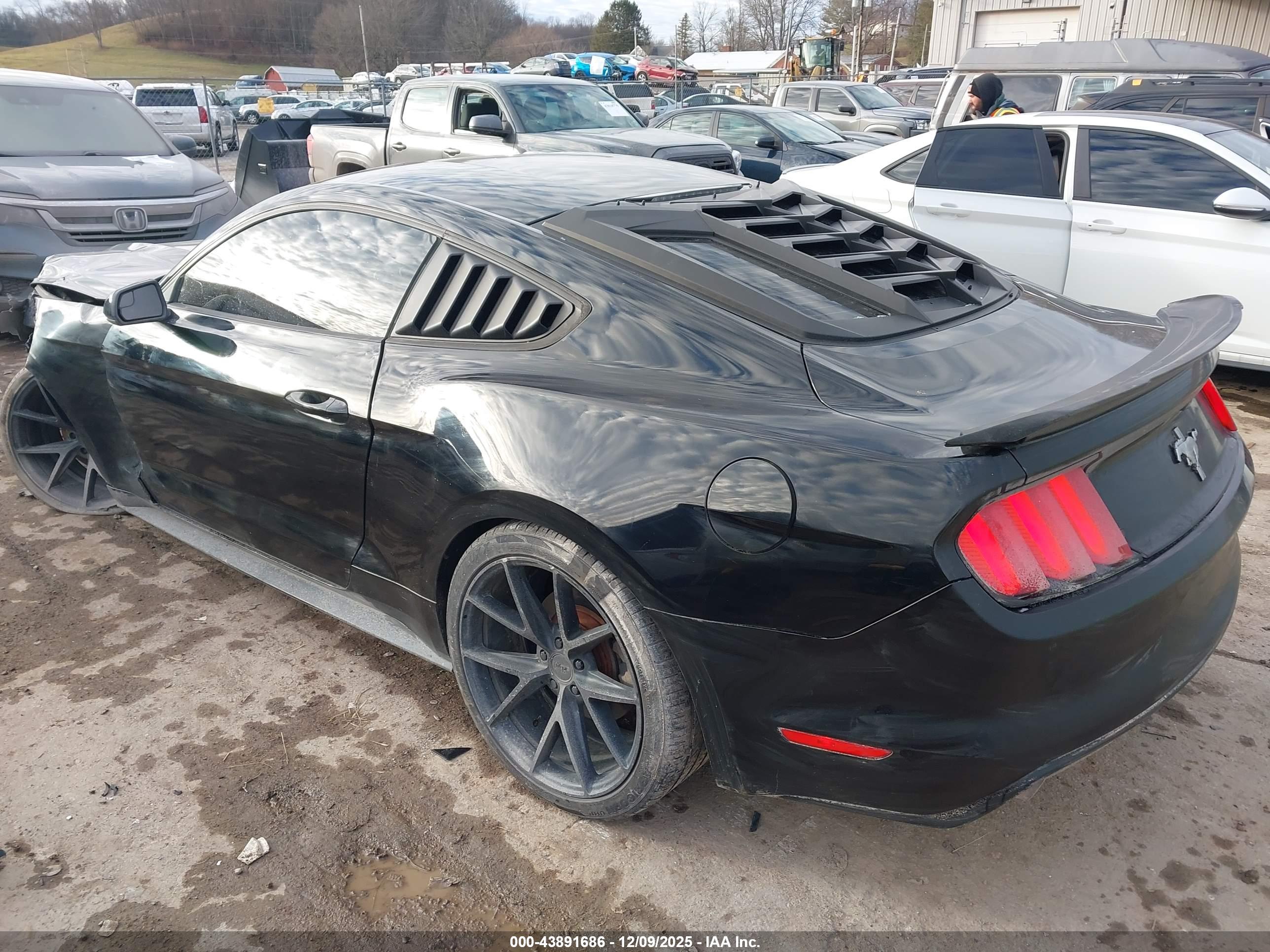 FORD MUSTANG image 3