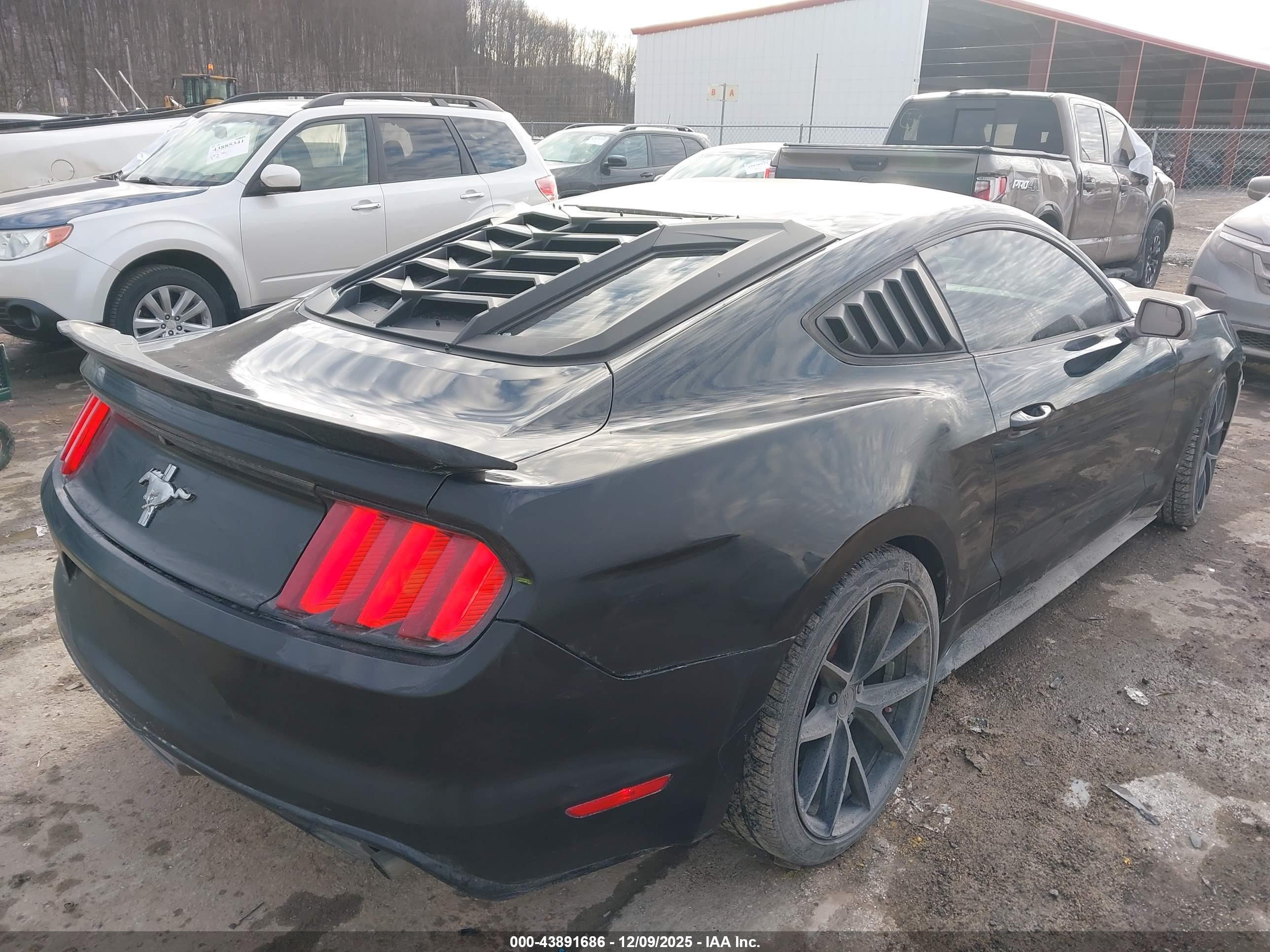 FORD MUSTANG image 4
