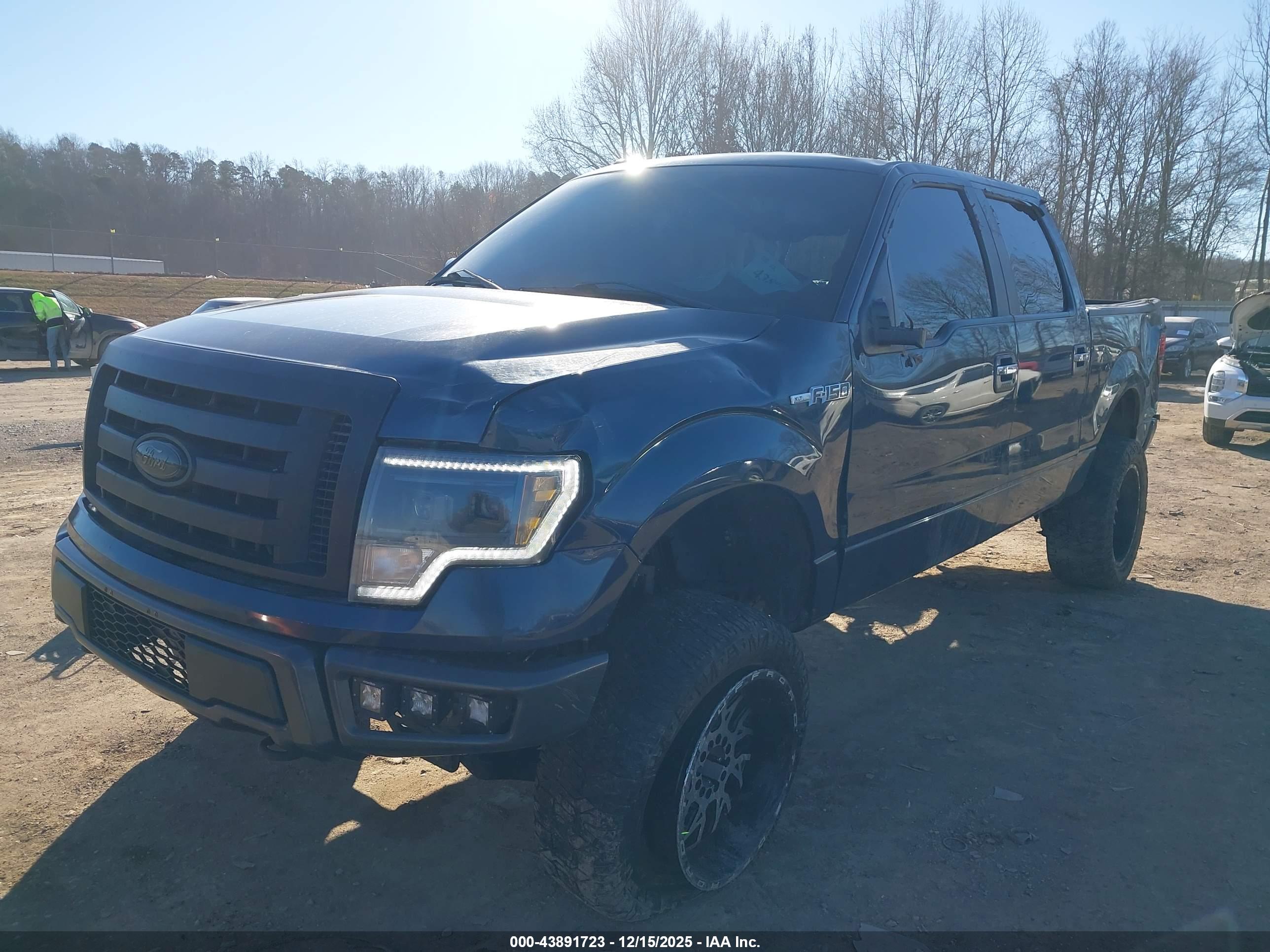 FORD F-150 image 2