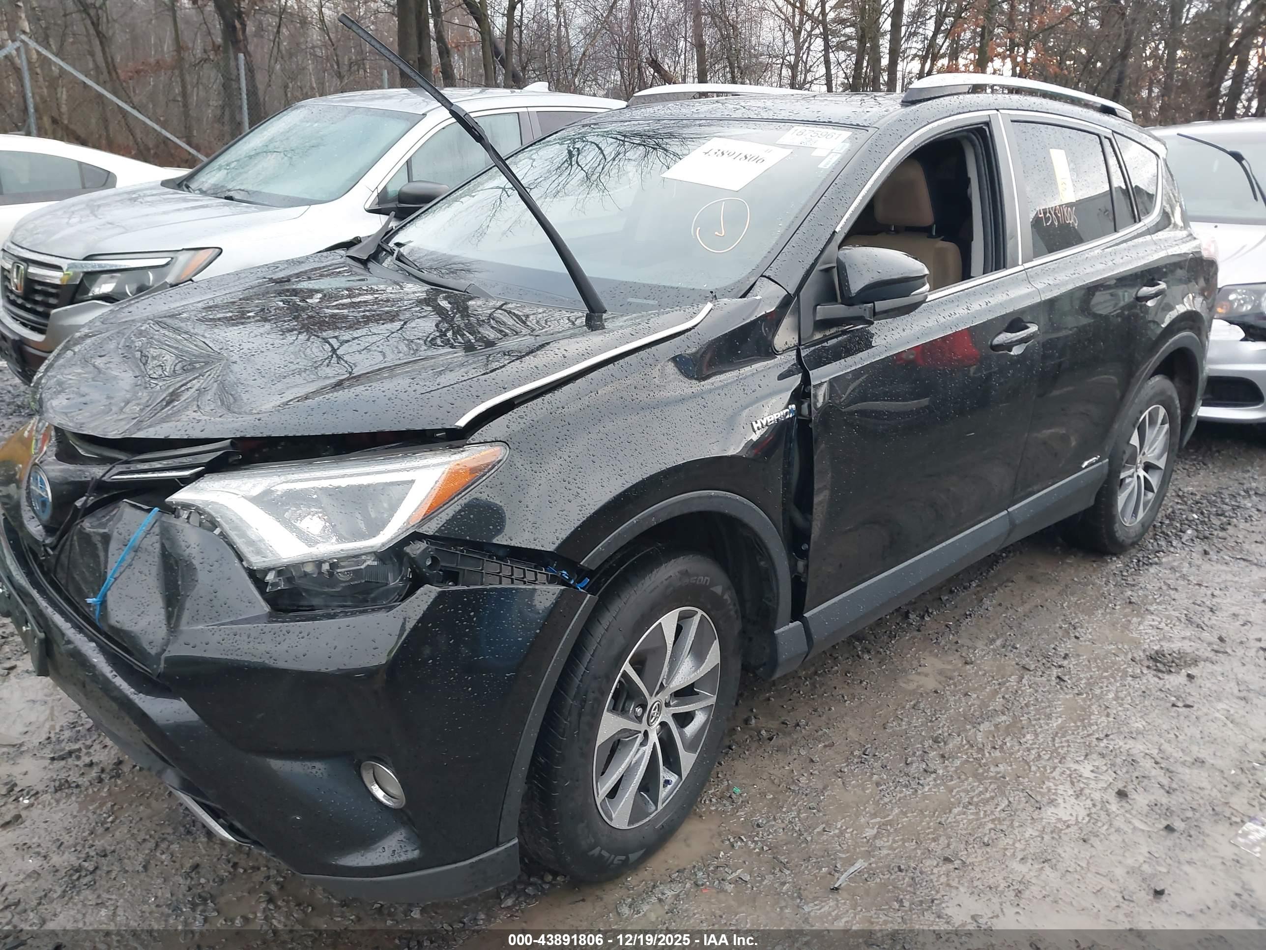 TOYOTA RAV4 image 2