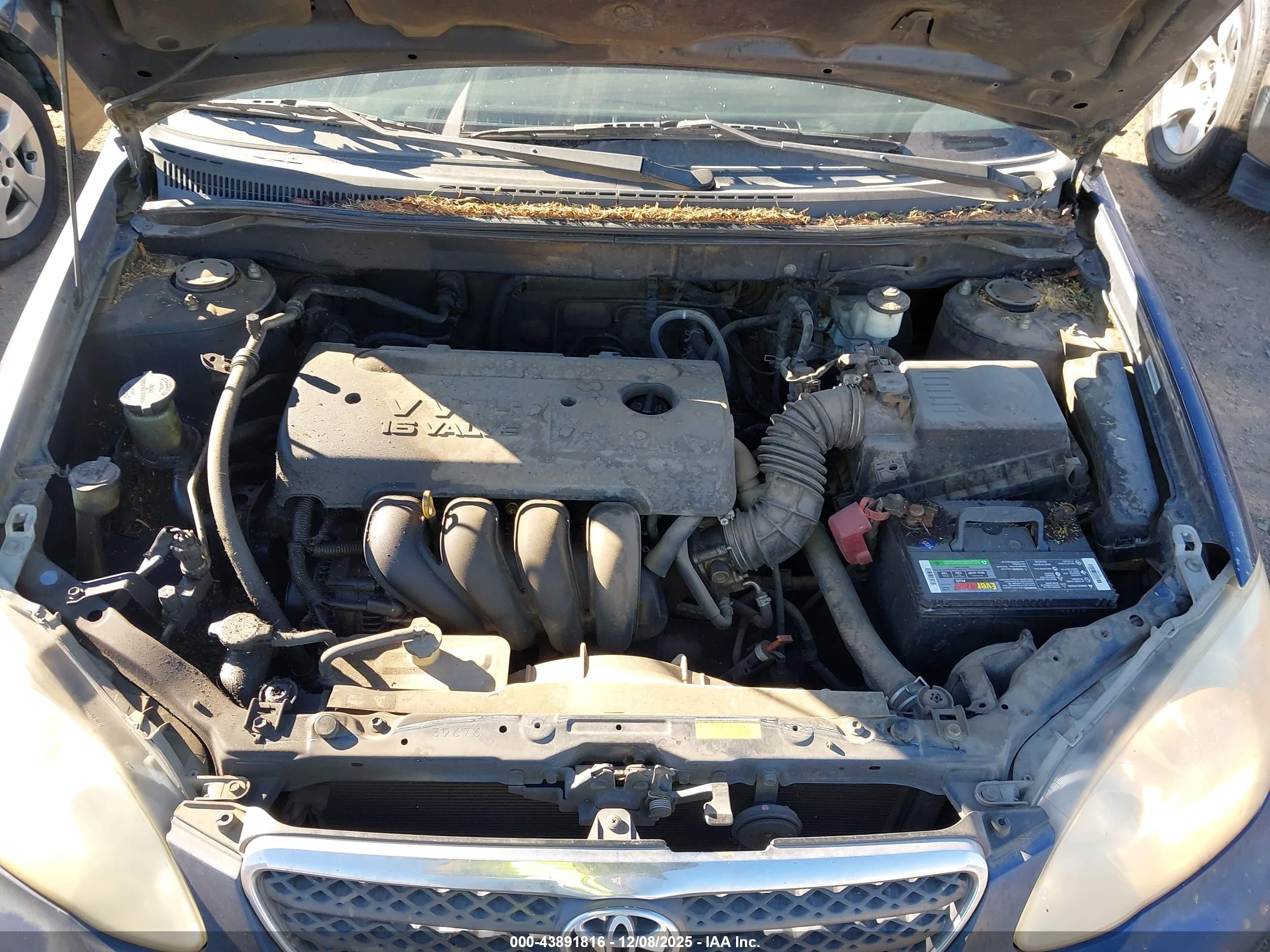 TOYOTA COROLLA image 10