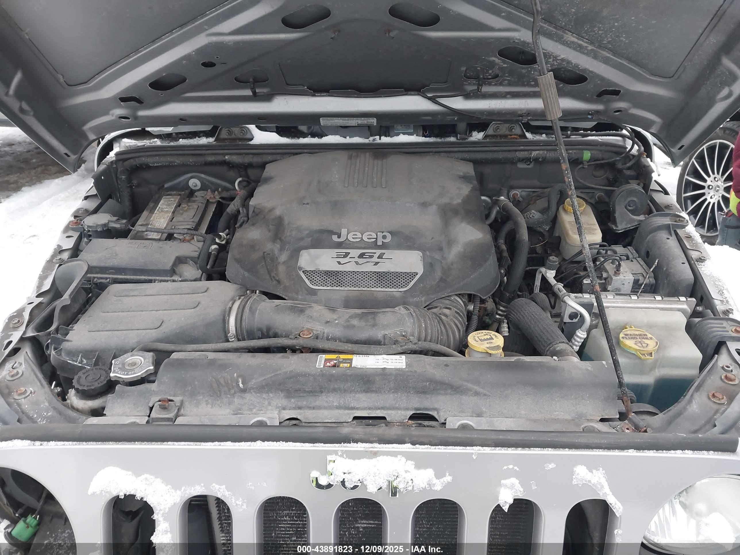 JEEP WRANGLER image 10