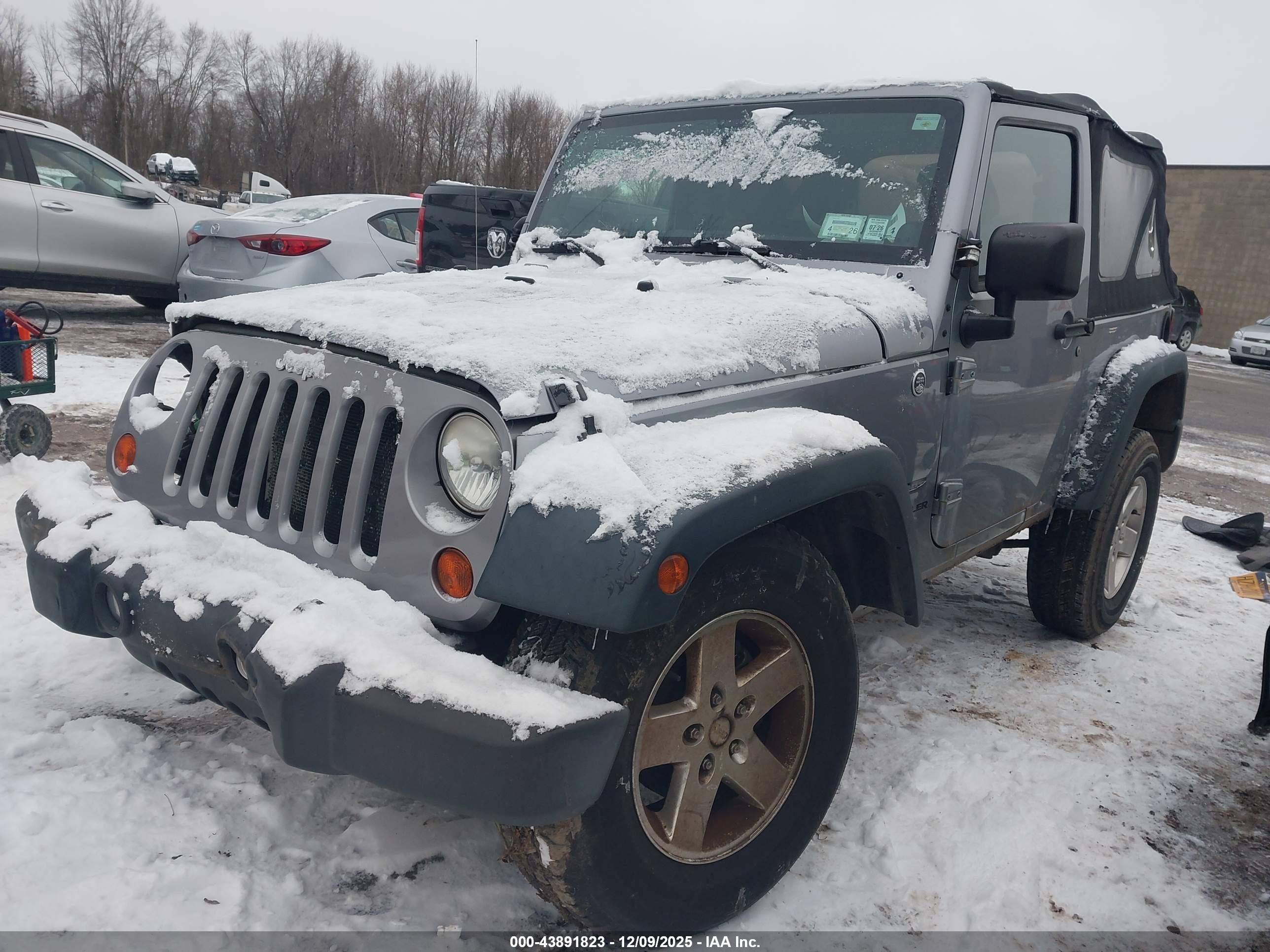 JEEP WRANGLER image 2