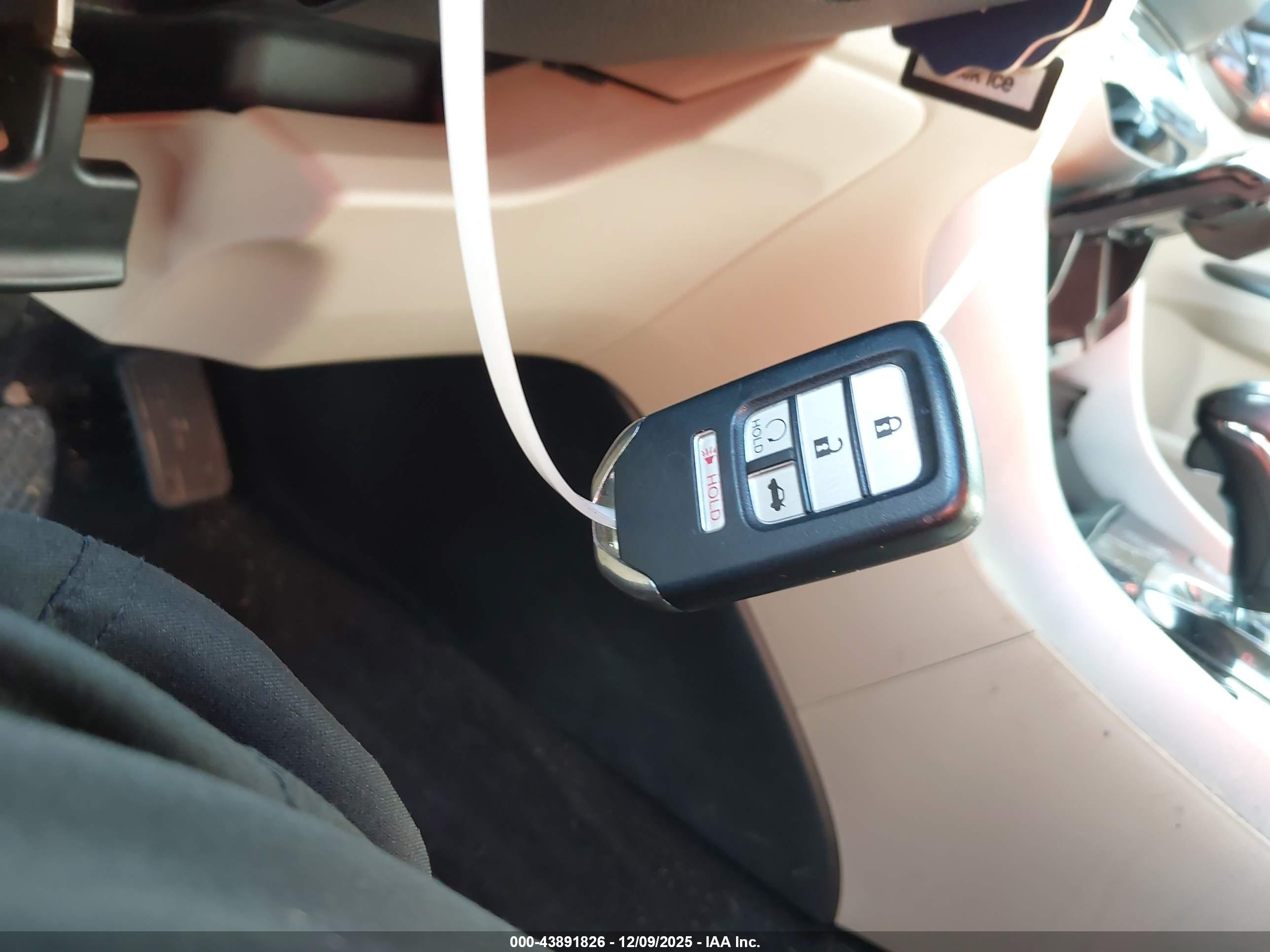 HONDA ACCORD image 11