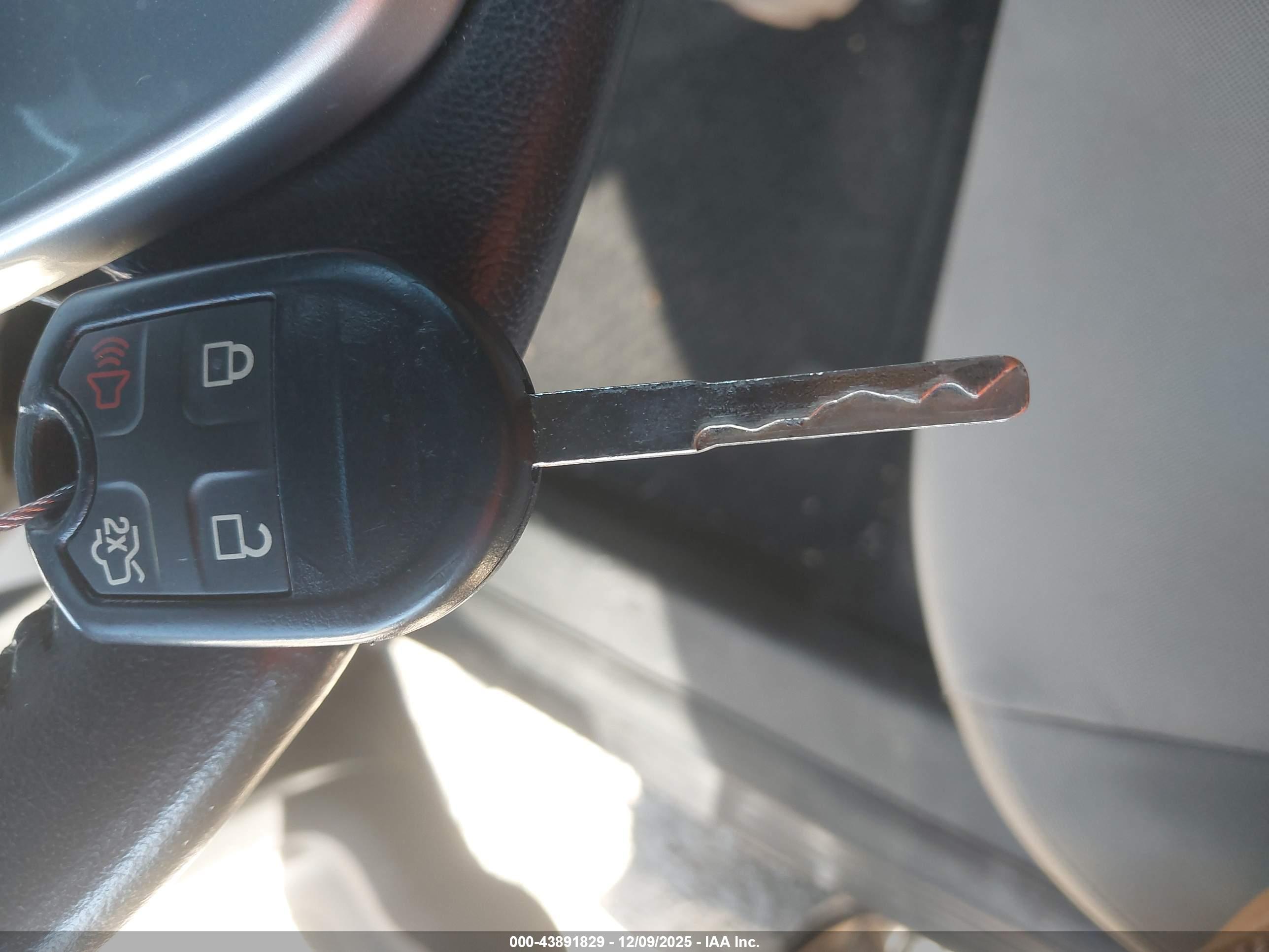 FORD FIESTA image 11