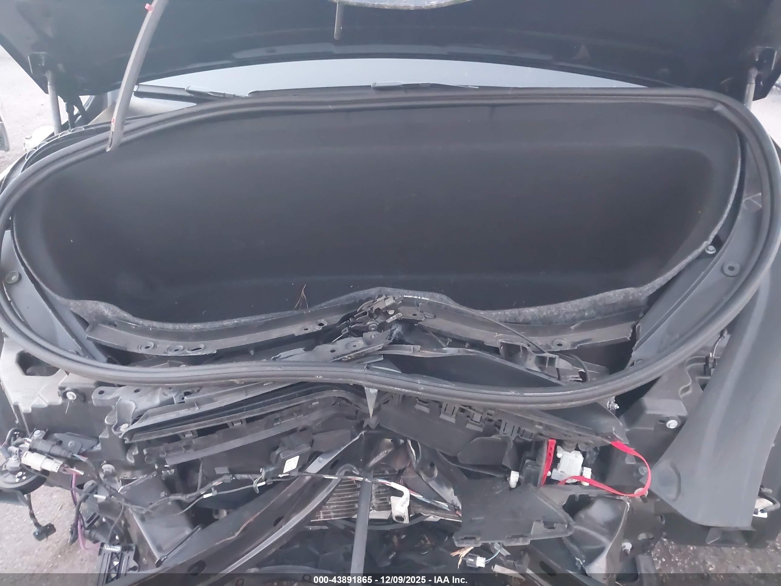 TESLA MODEL image 10