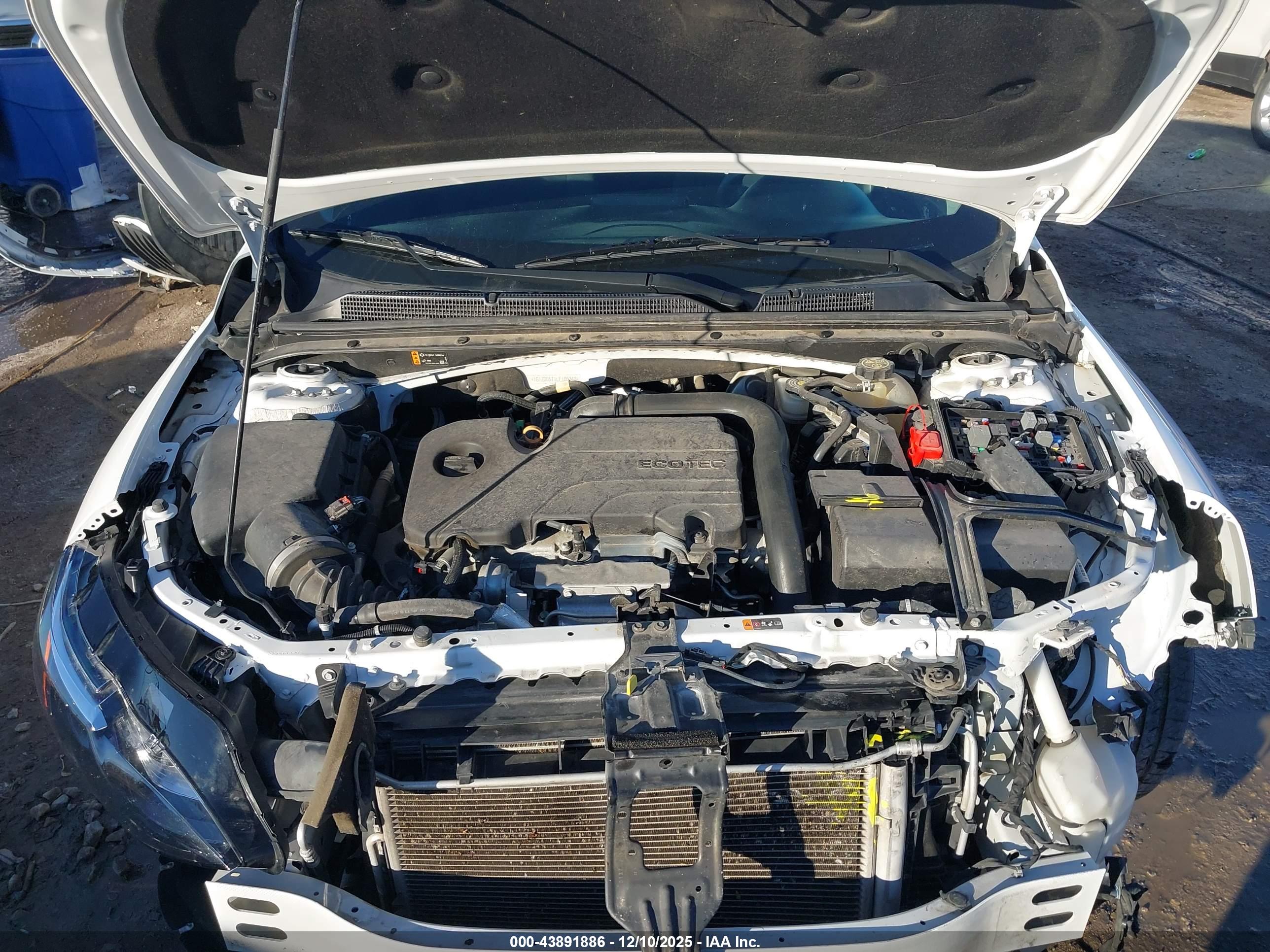 CHEVROLET MALIBU image 10