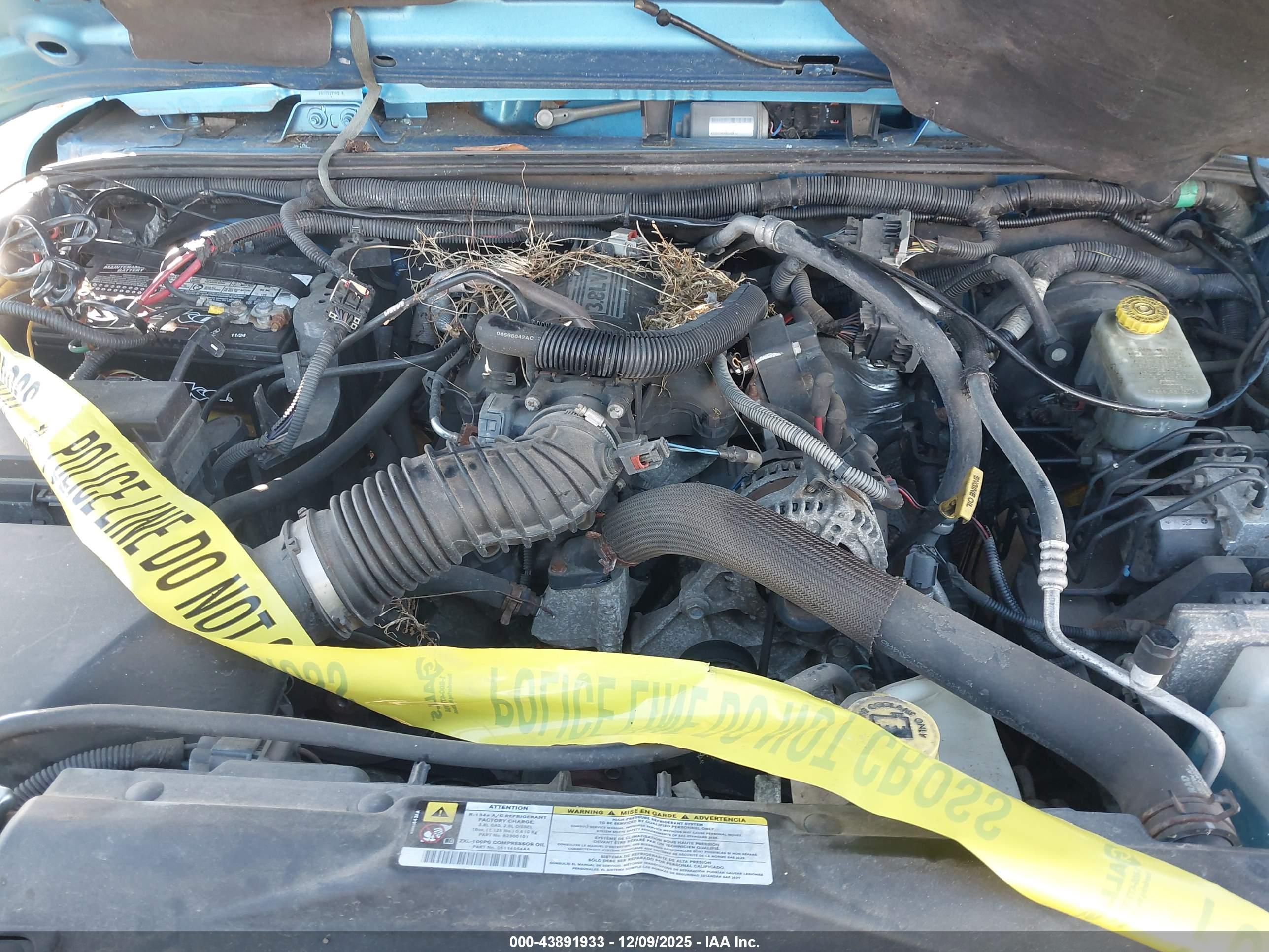JEEP WRANGLER image 10