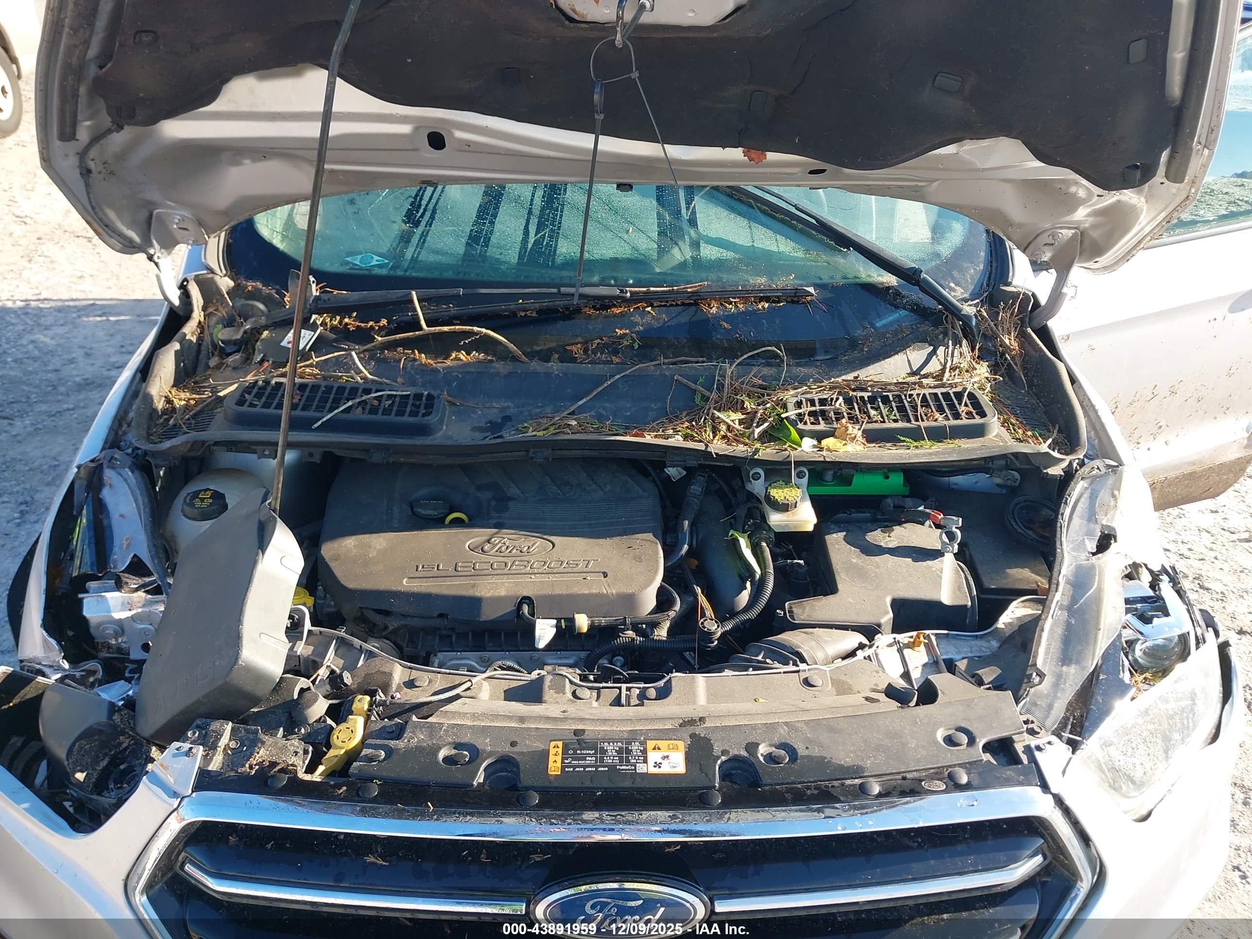 FORD ESCAPE image 10