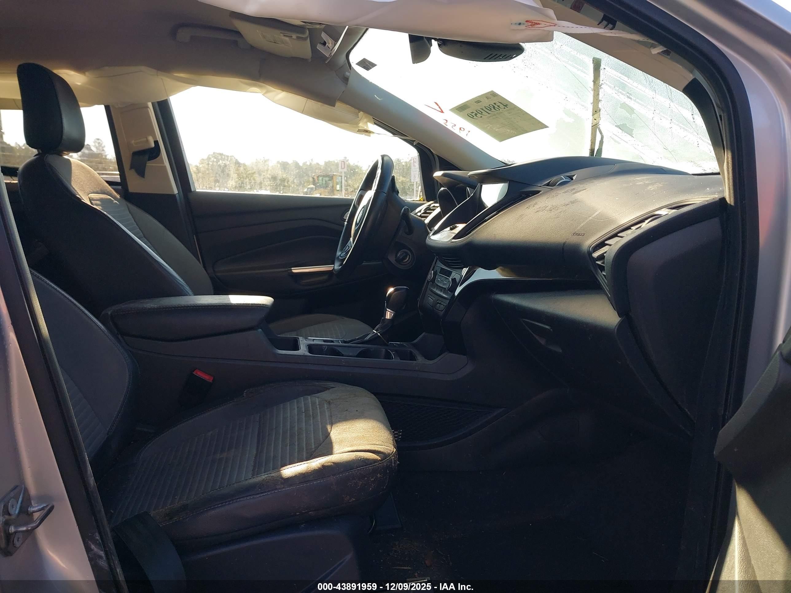 FORD ESCAPE image 5