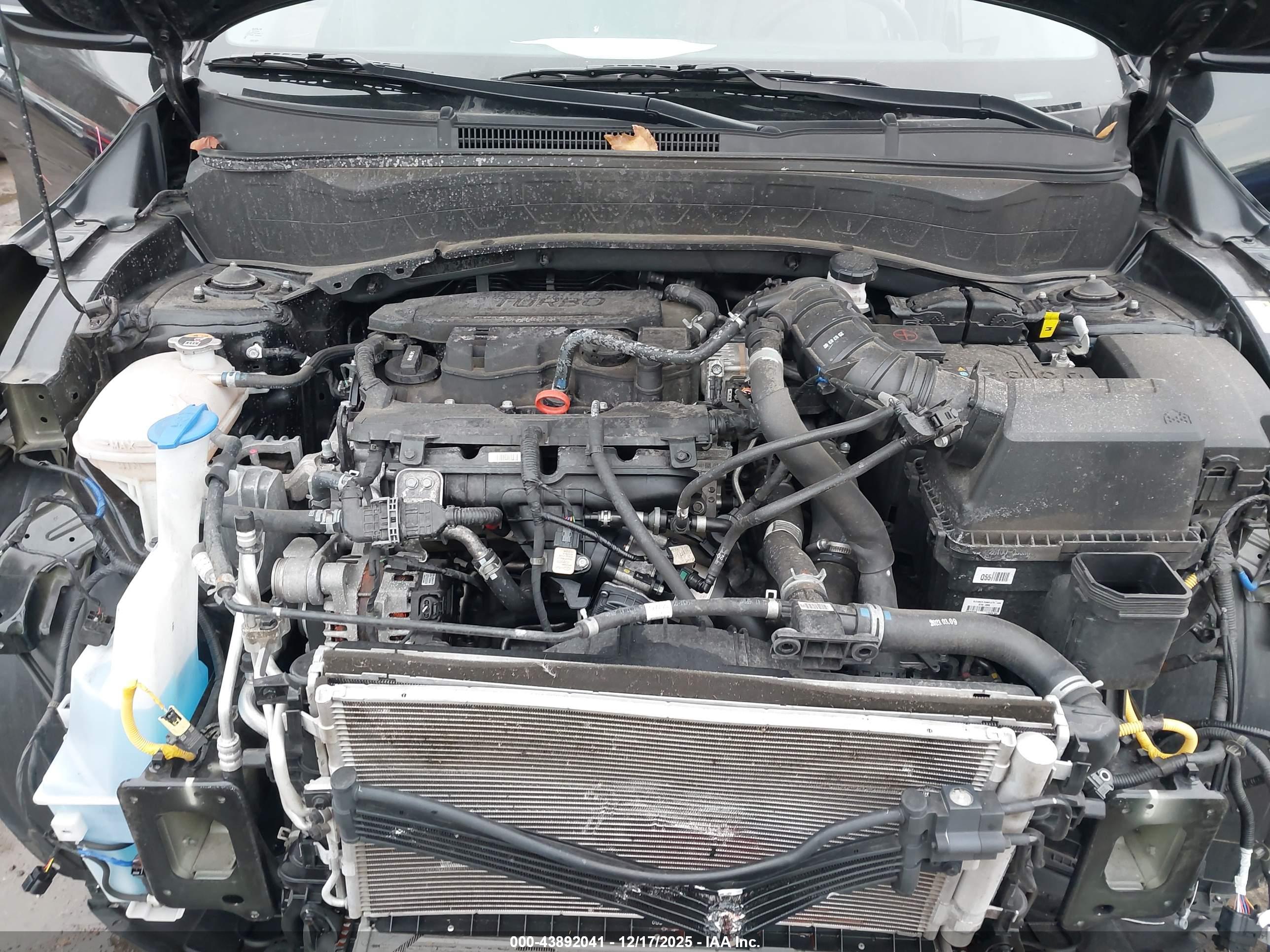 KIA SELTOS image 10