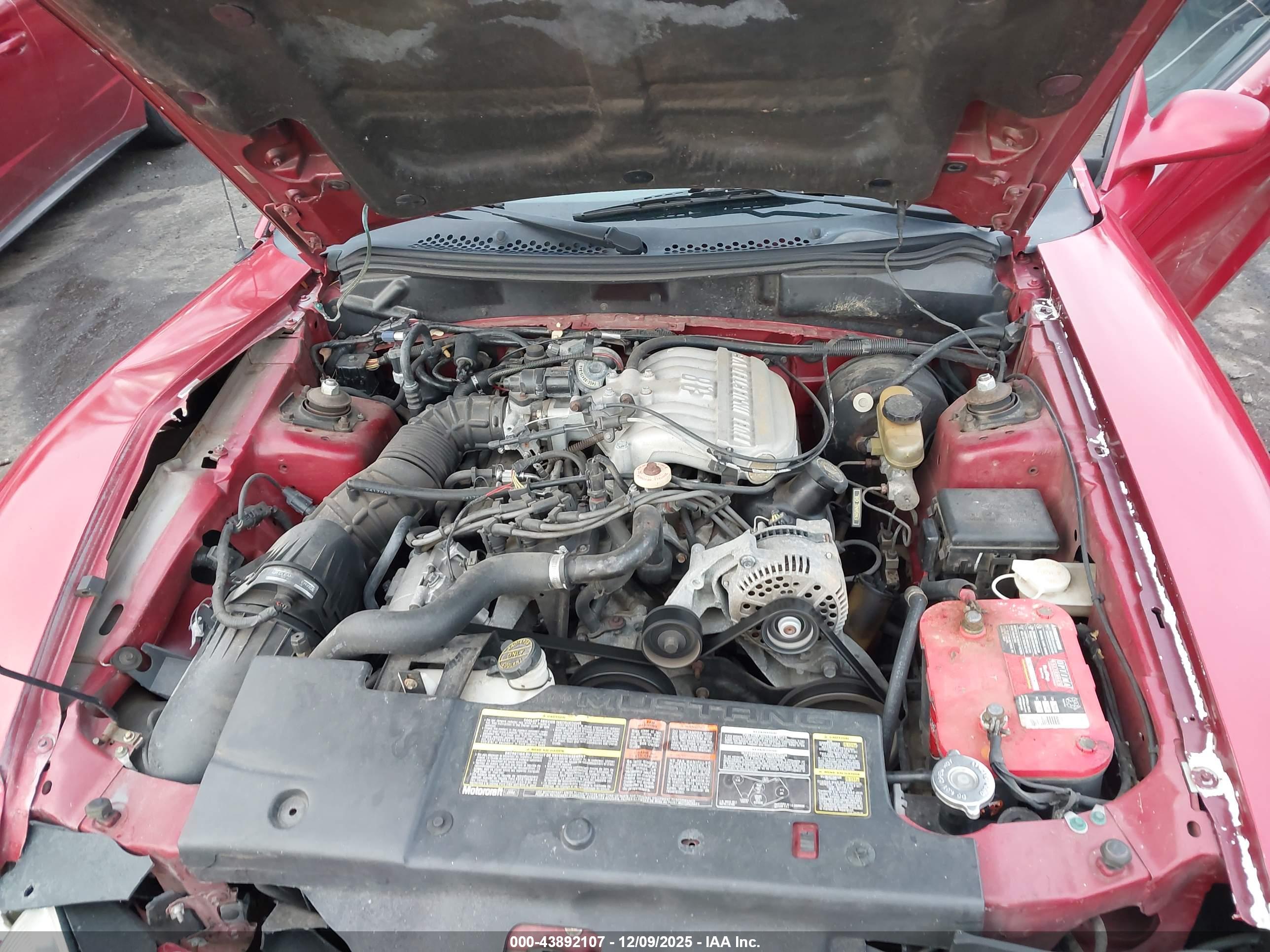 FORD MUSTANG image 10