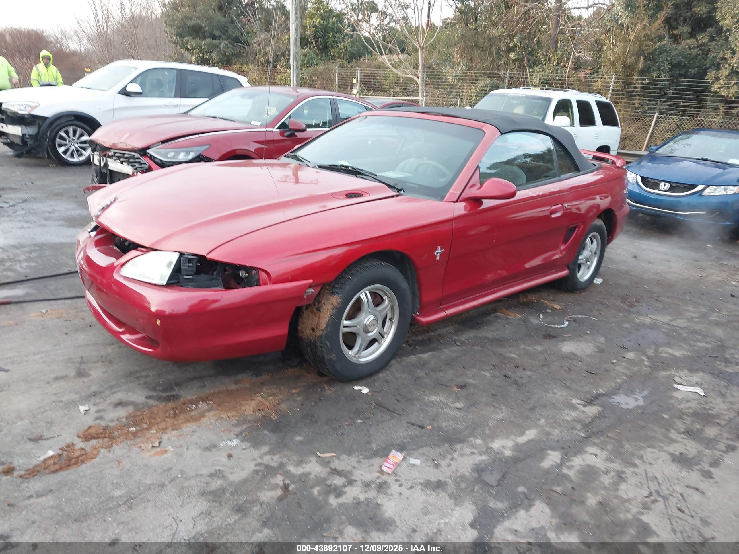 FORD MUSTANG image 2