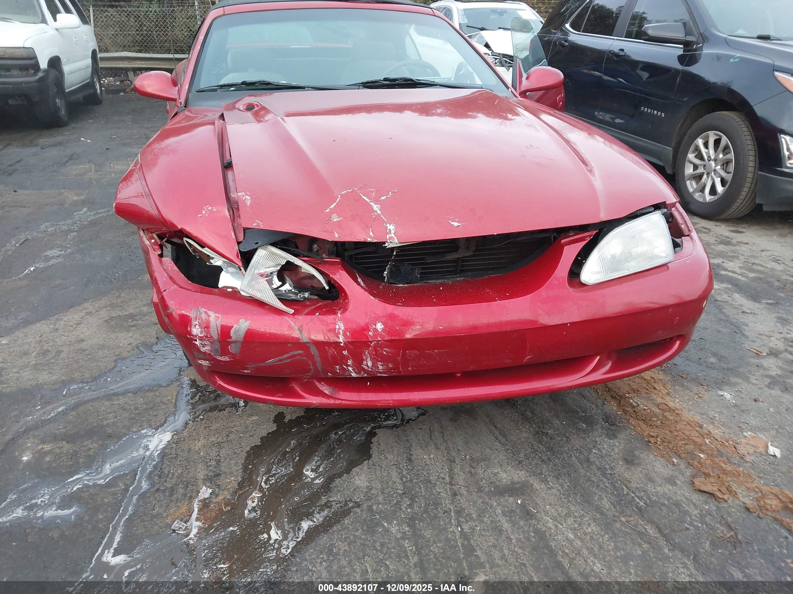 FORD MUSTANG image 6