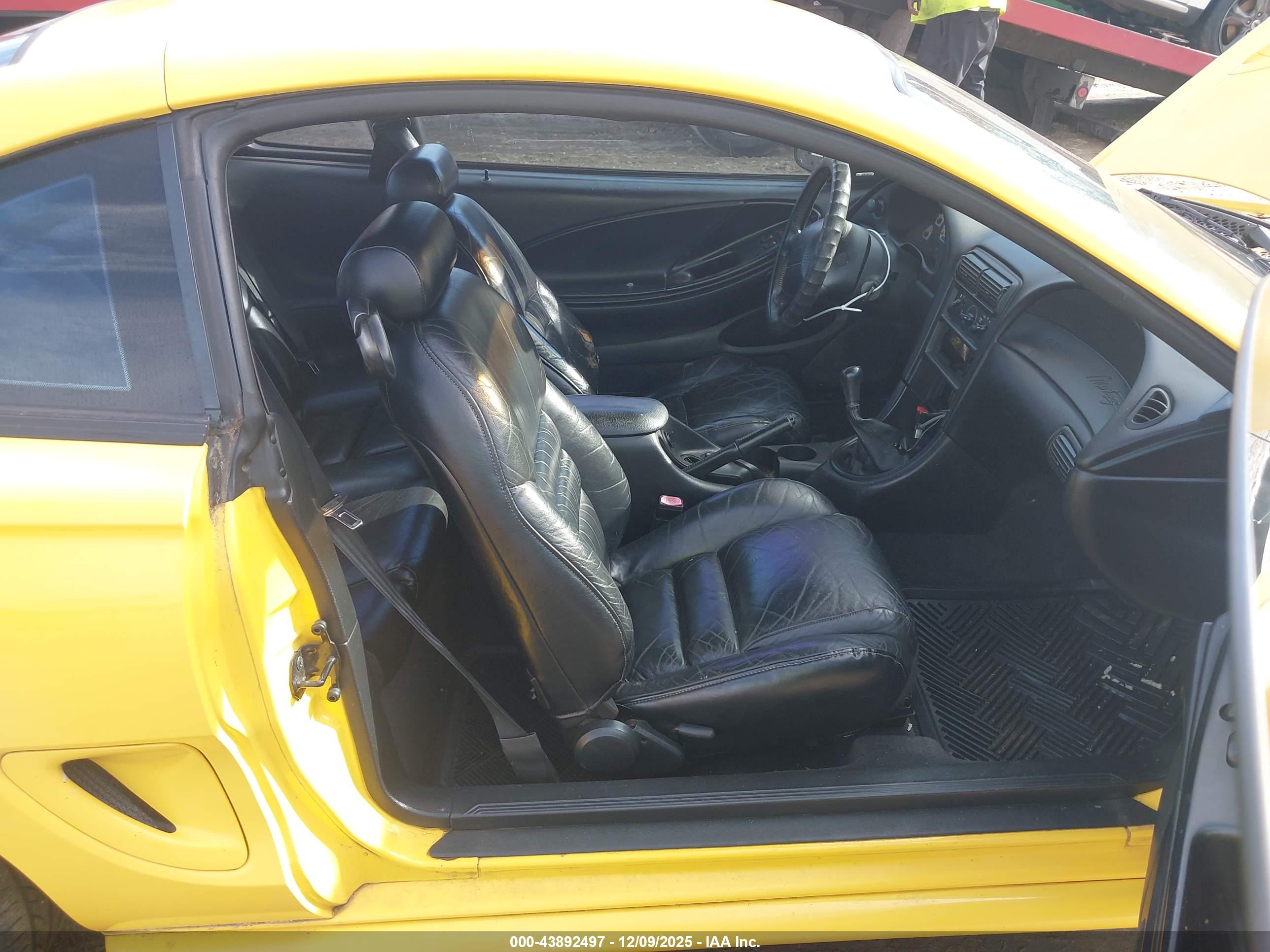 FORD MUSTANG image 5