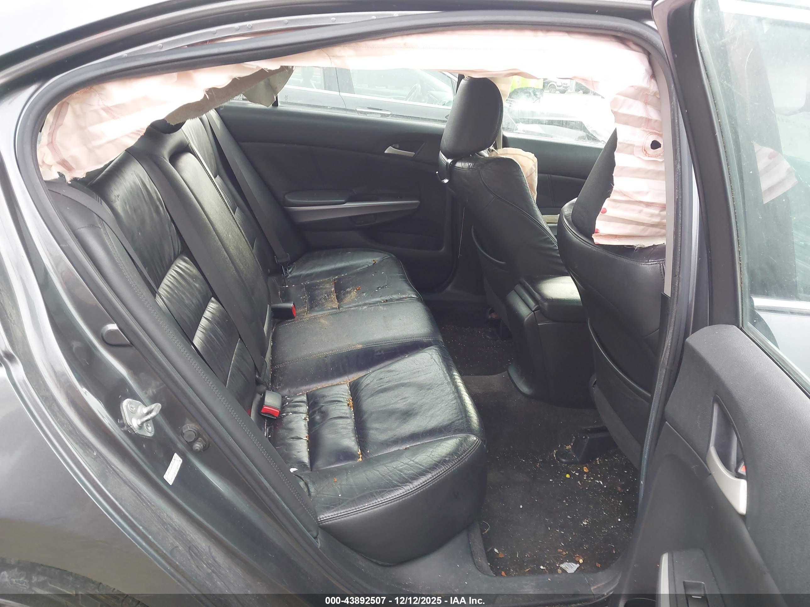 HONDA ACCORD image 8