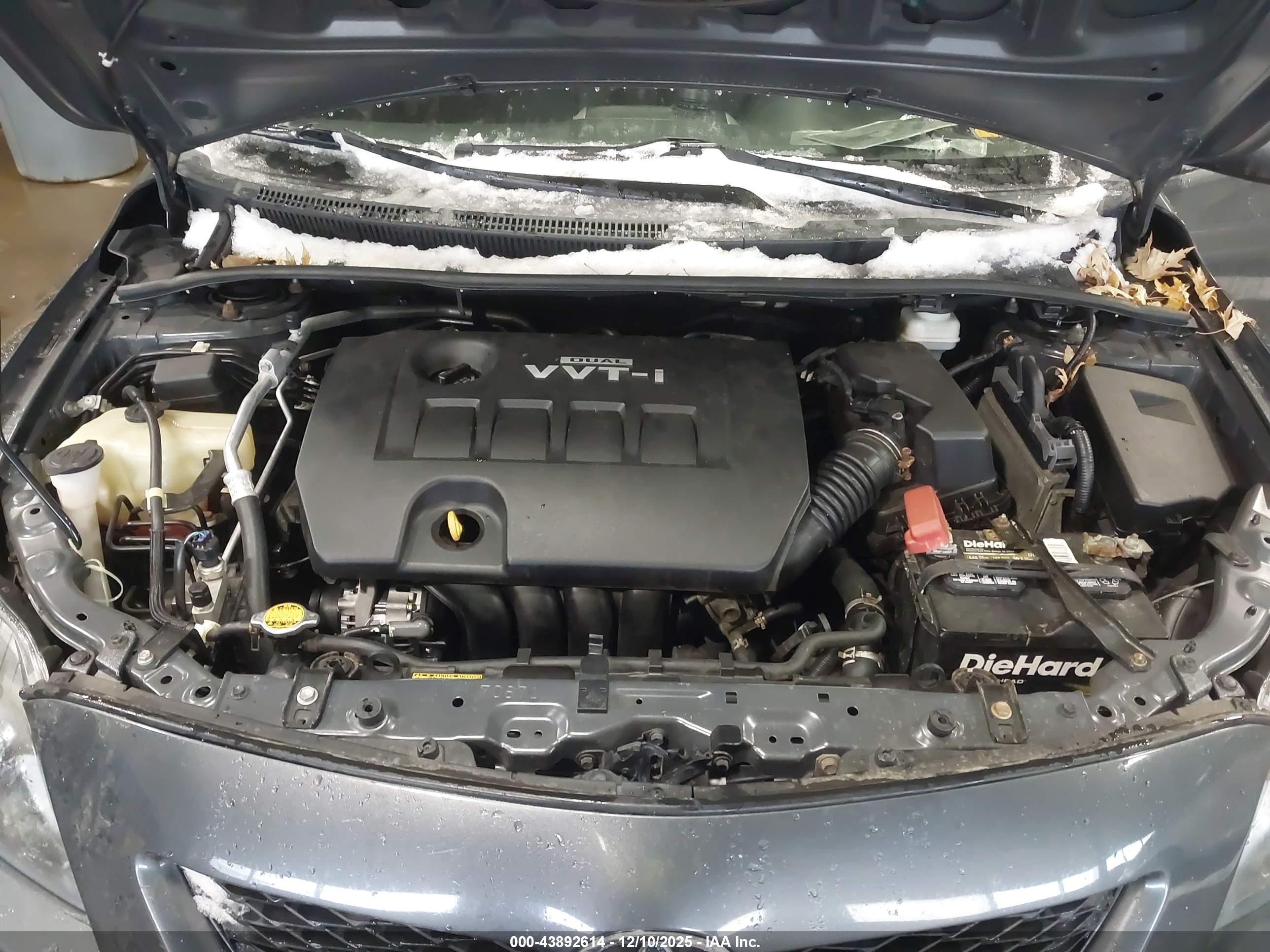 TOYOTA COROLLA image 10