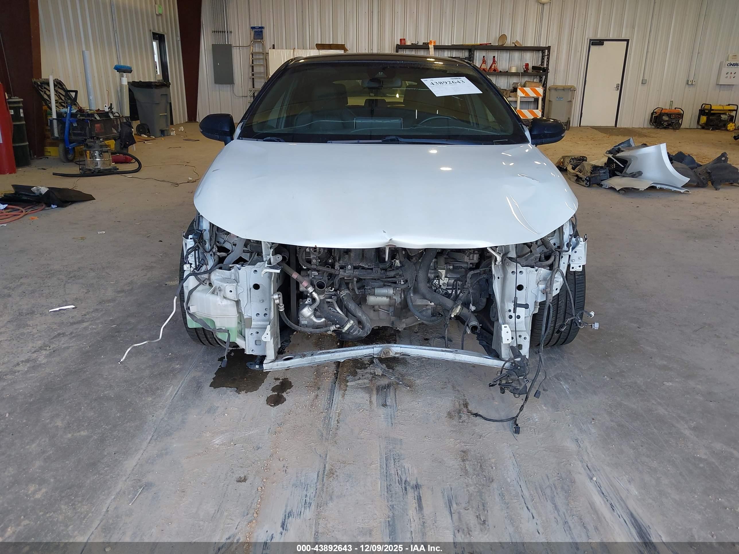 TOYOTA COROLLA image 6