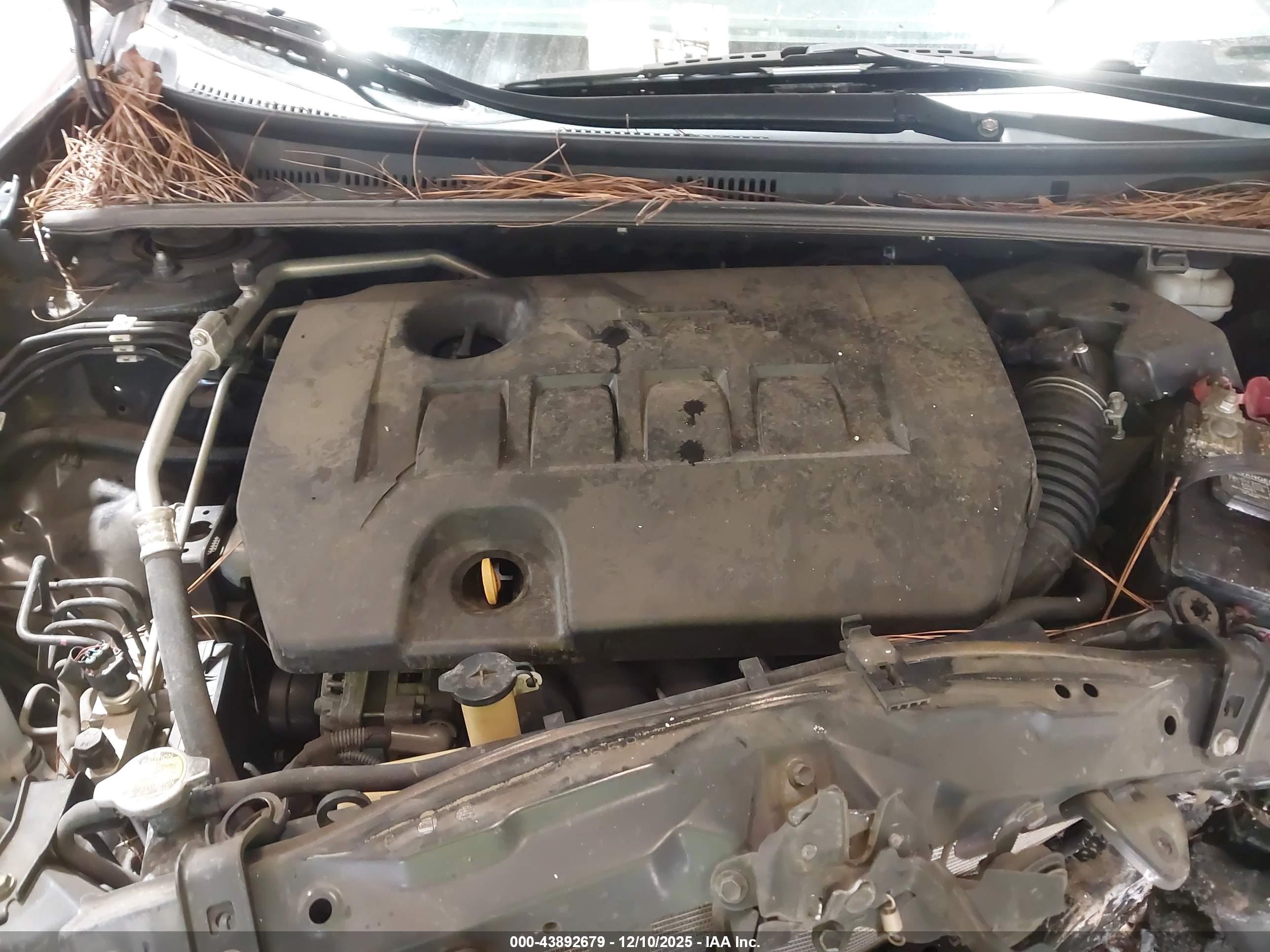 TOYOTA COROLLA image 10
