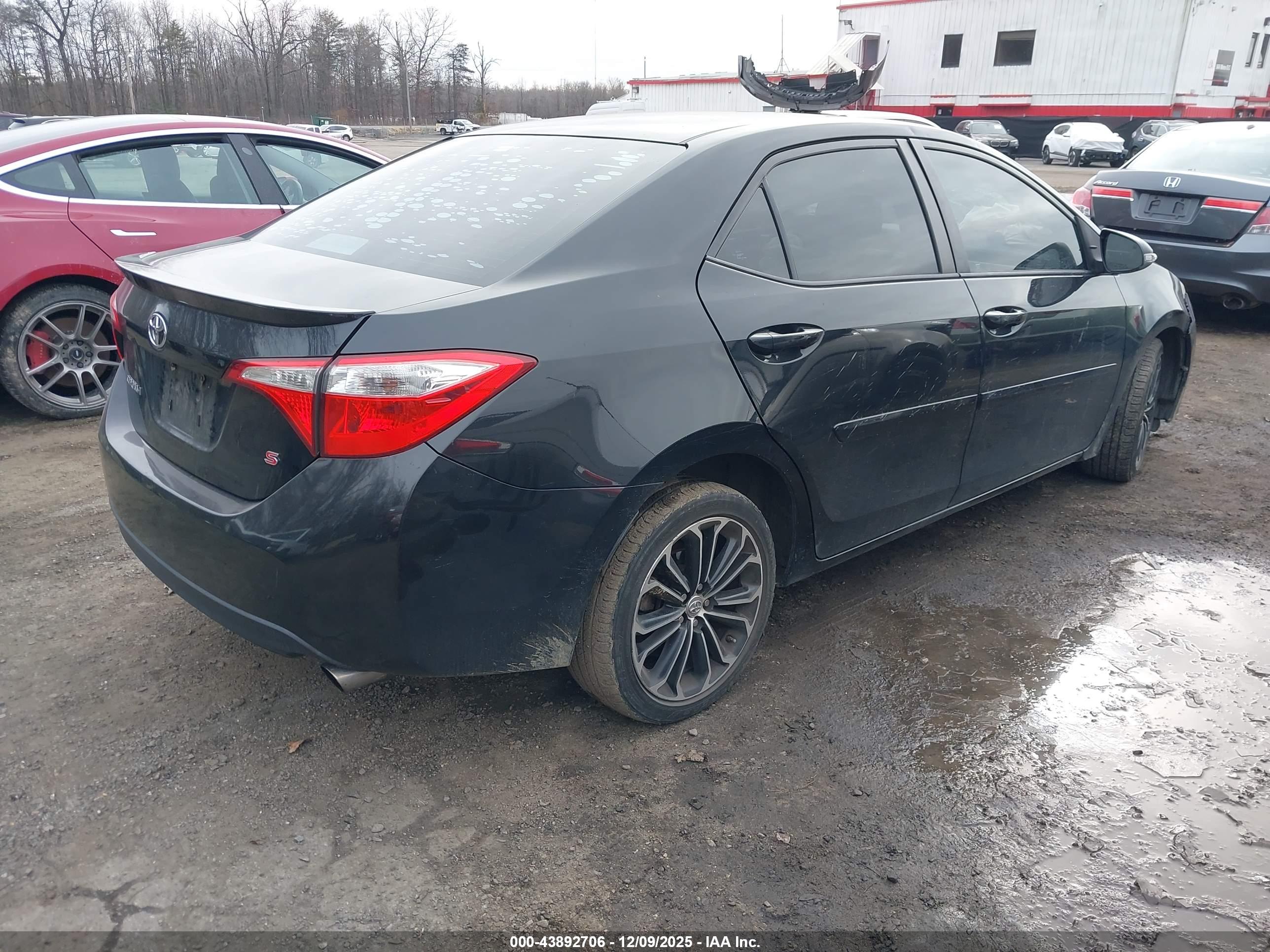TOYOTA COROLLA image 4