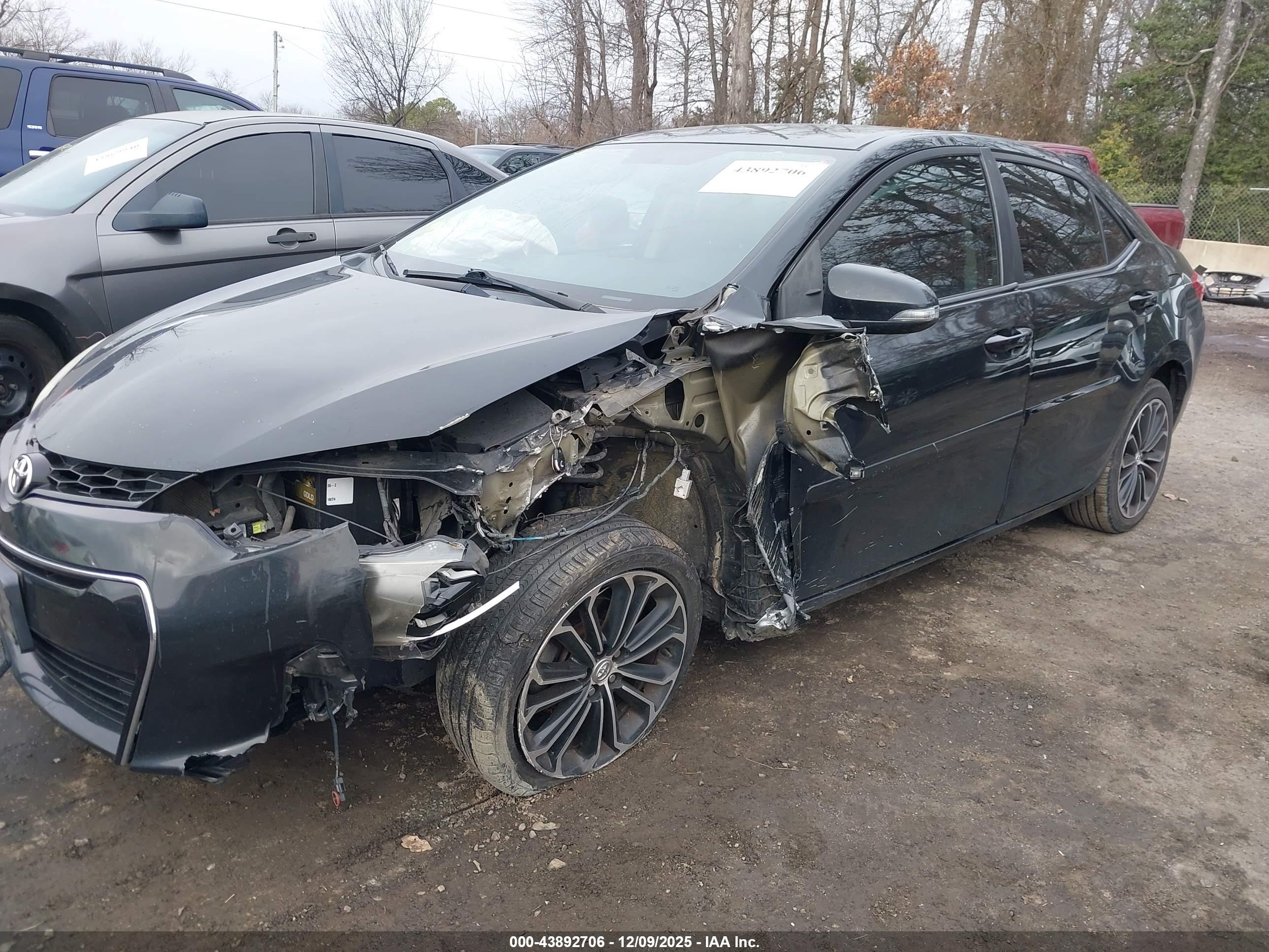 TOYOTA COROLLA image 6