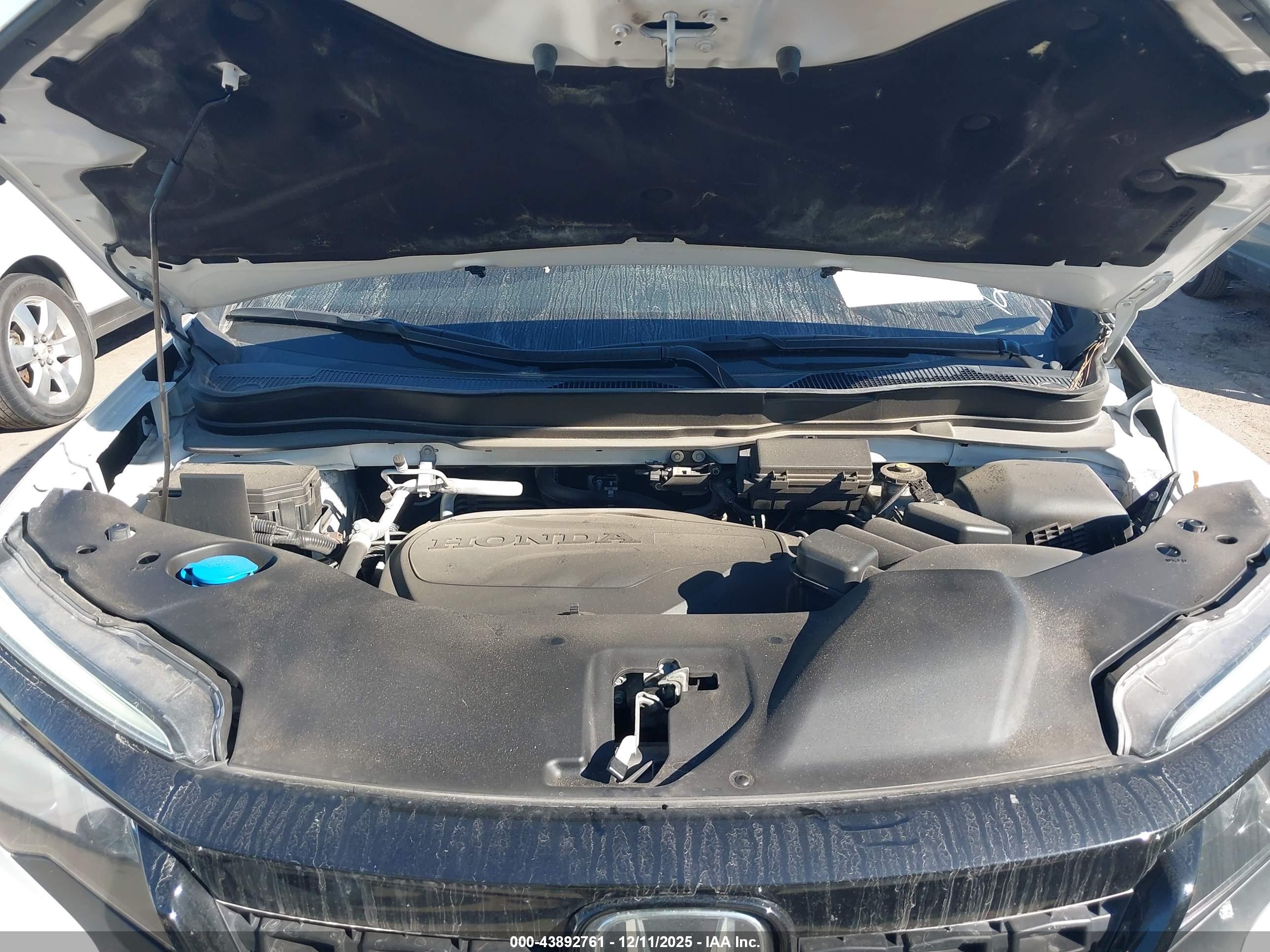 HONDA PASSPORT image 10
