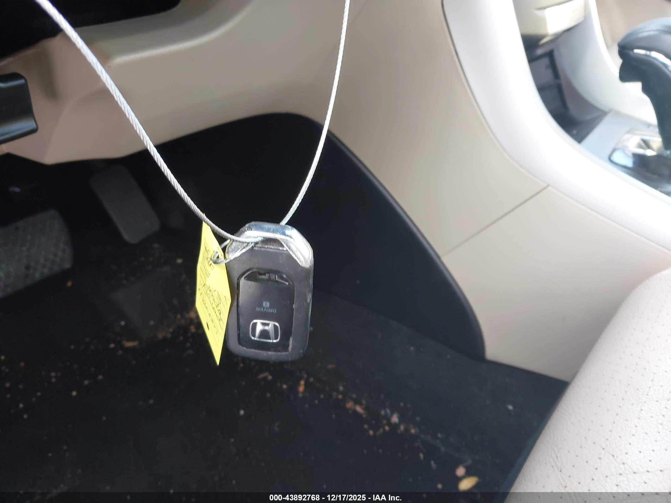 HONDA ACCORD image 11