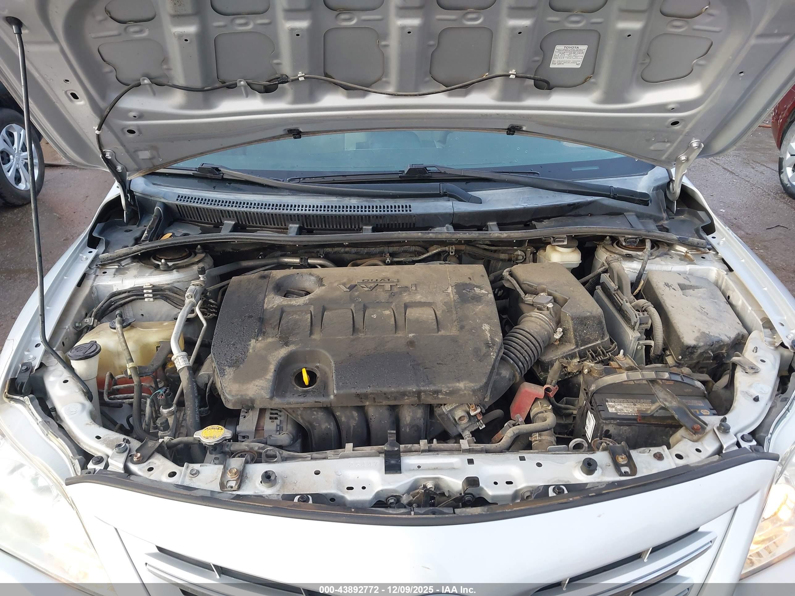 TOYOTA COROLLA image 10