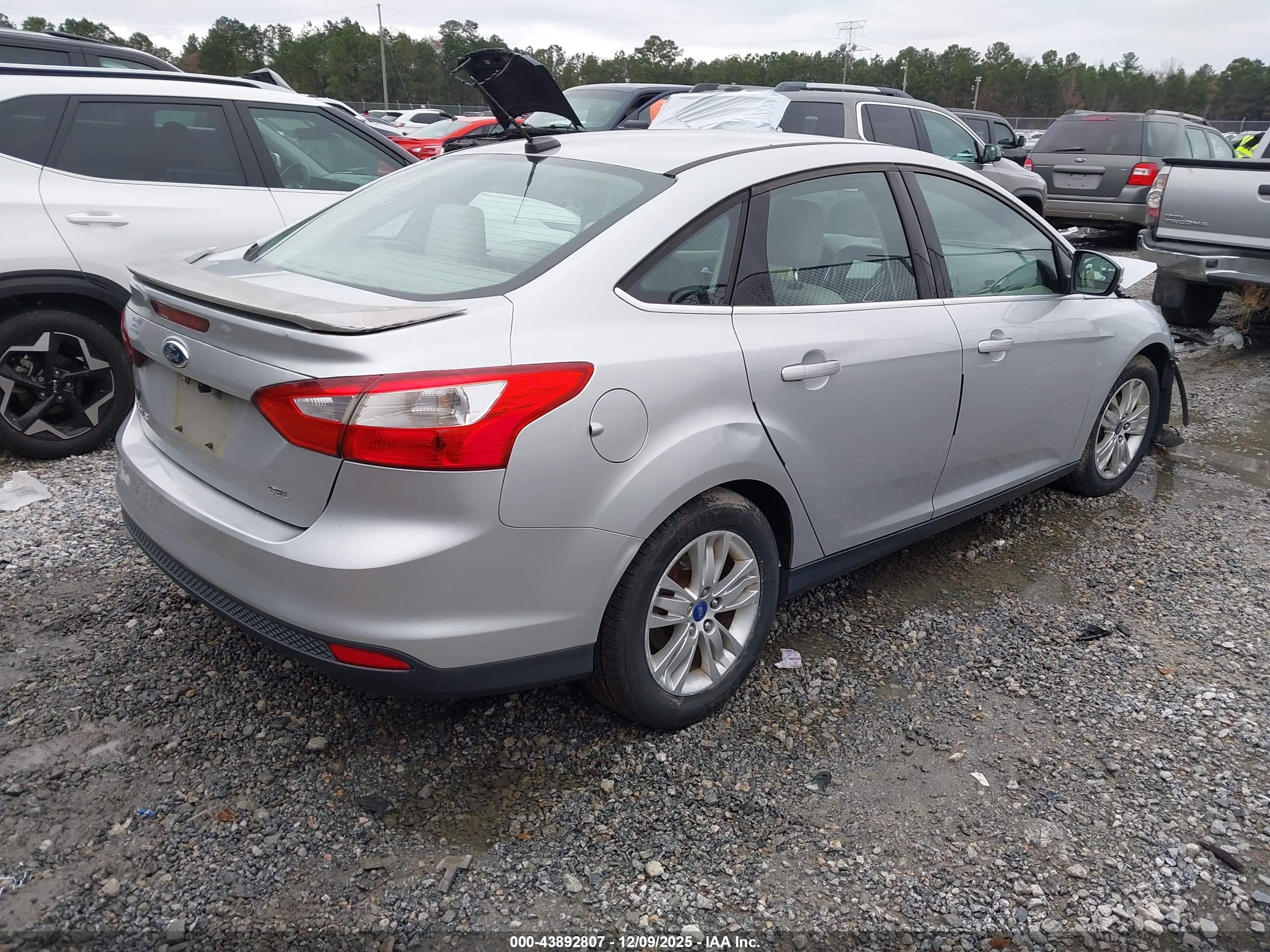FORD FOCUS image 4