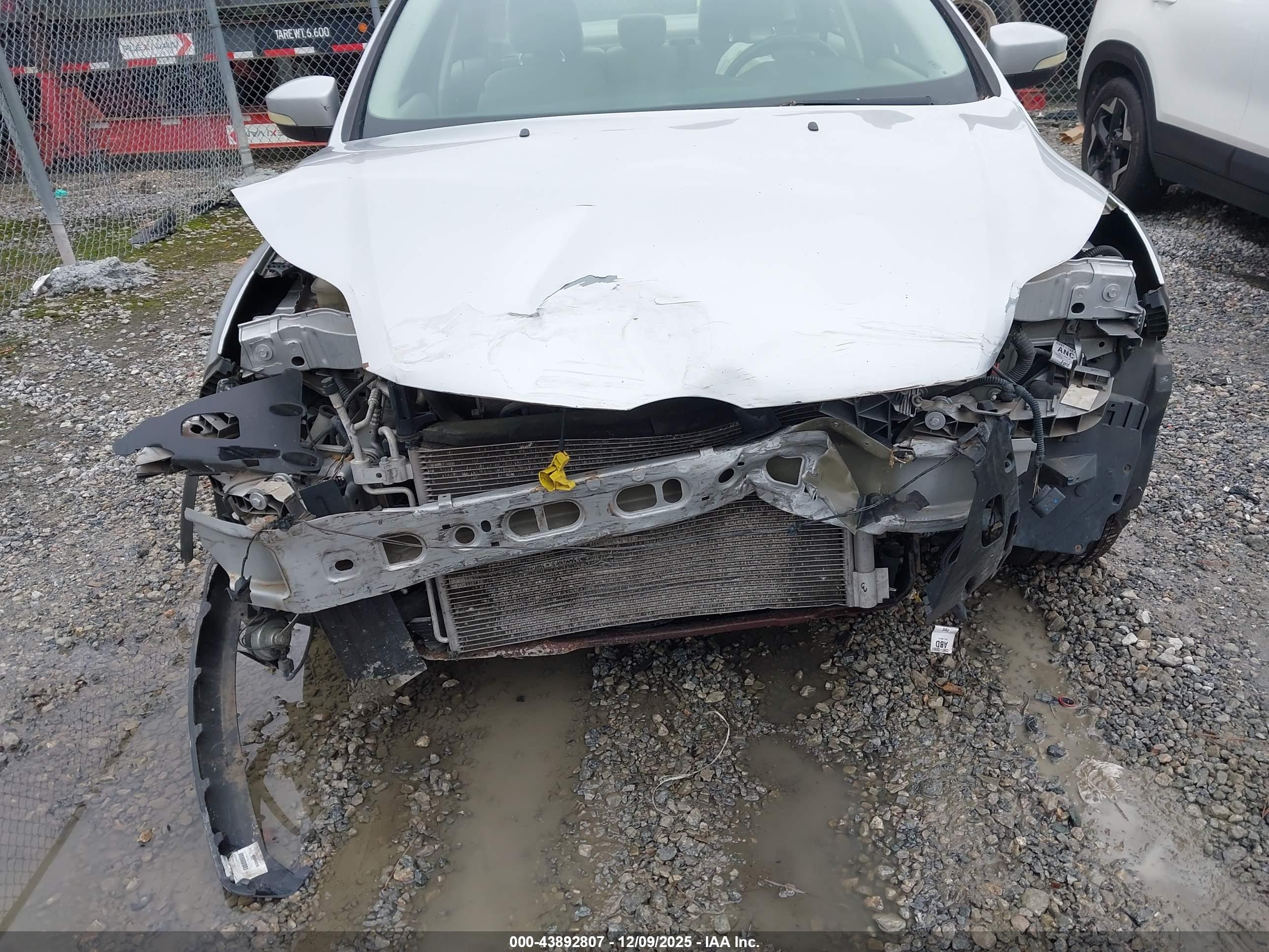 FORD FOCUS image 6