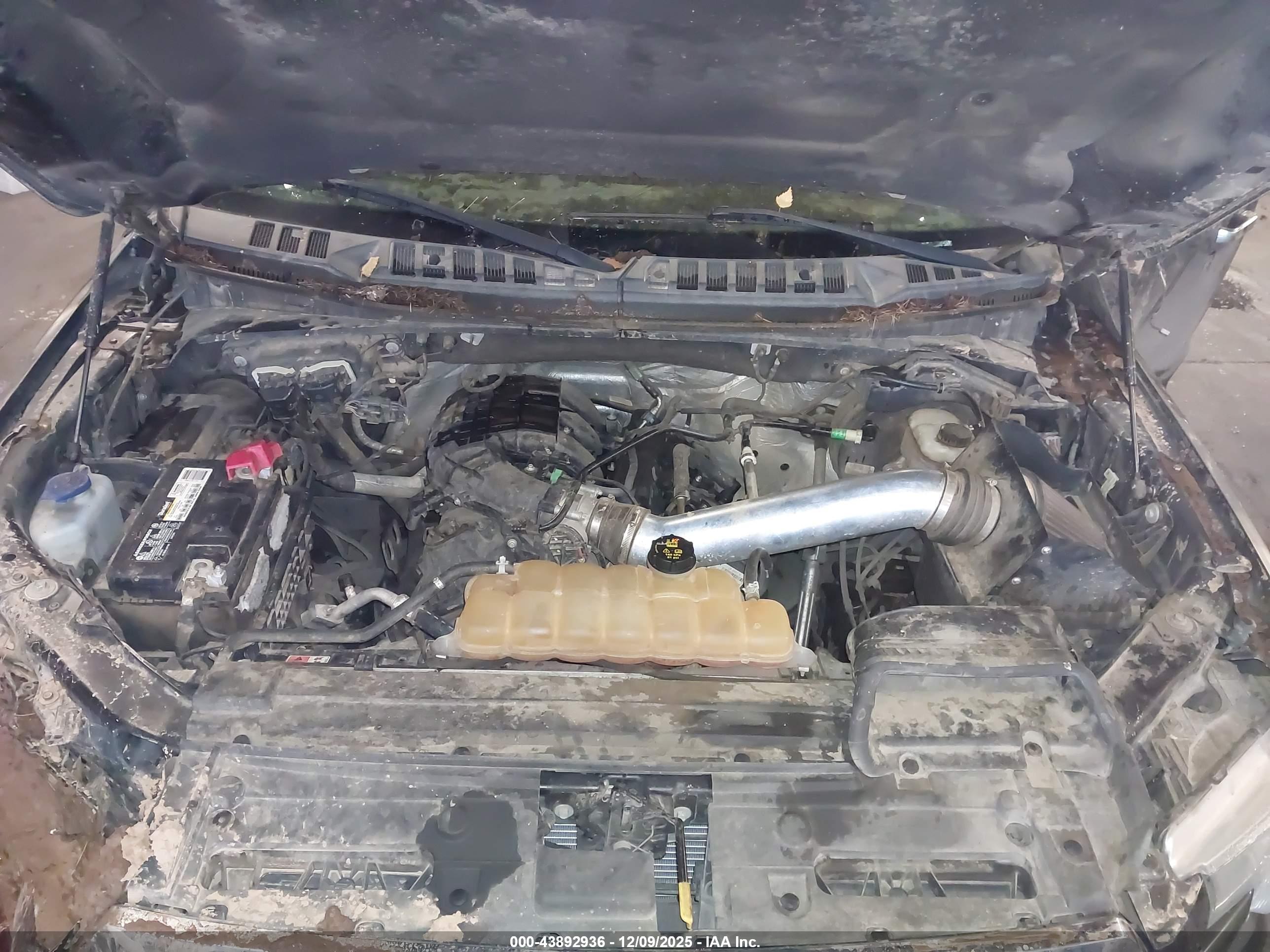 FORD F-150 image 10