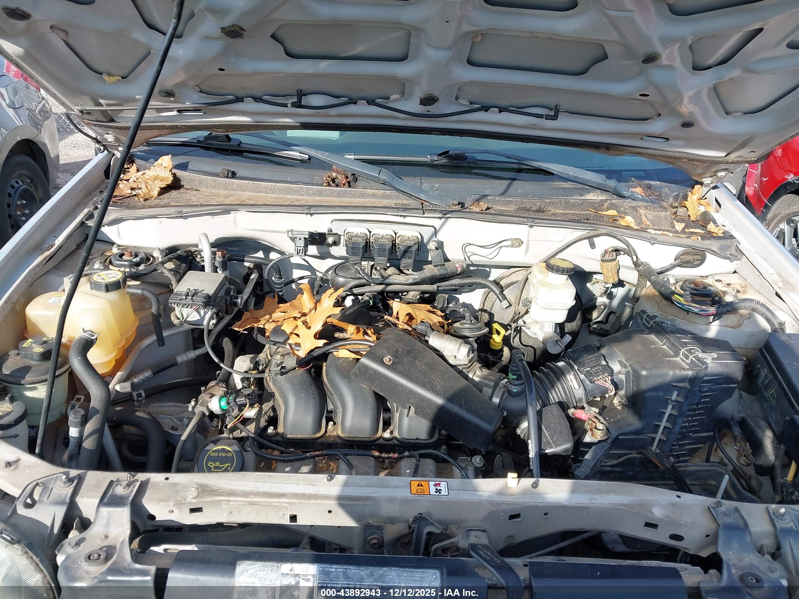 FORD ESCAPE image 10