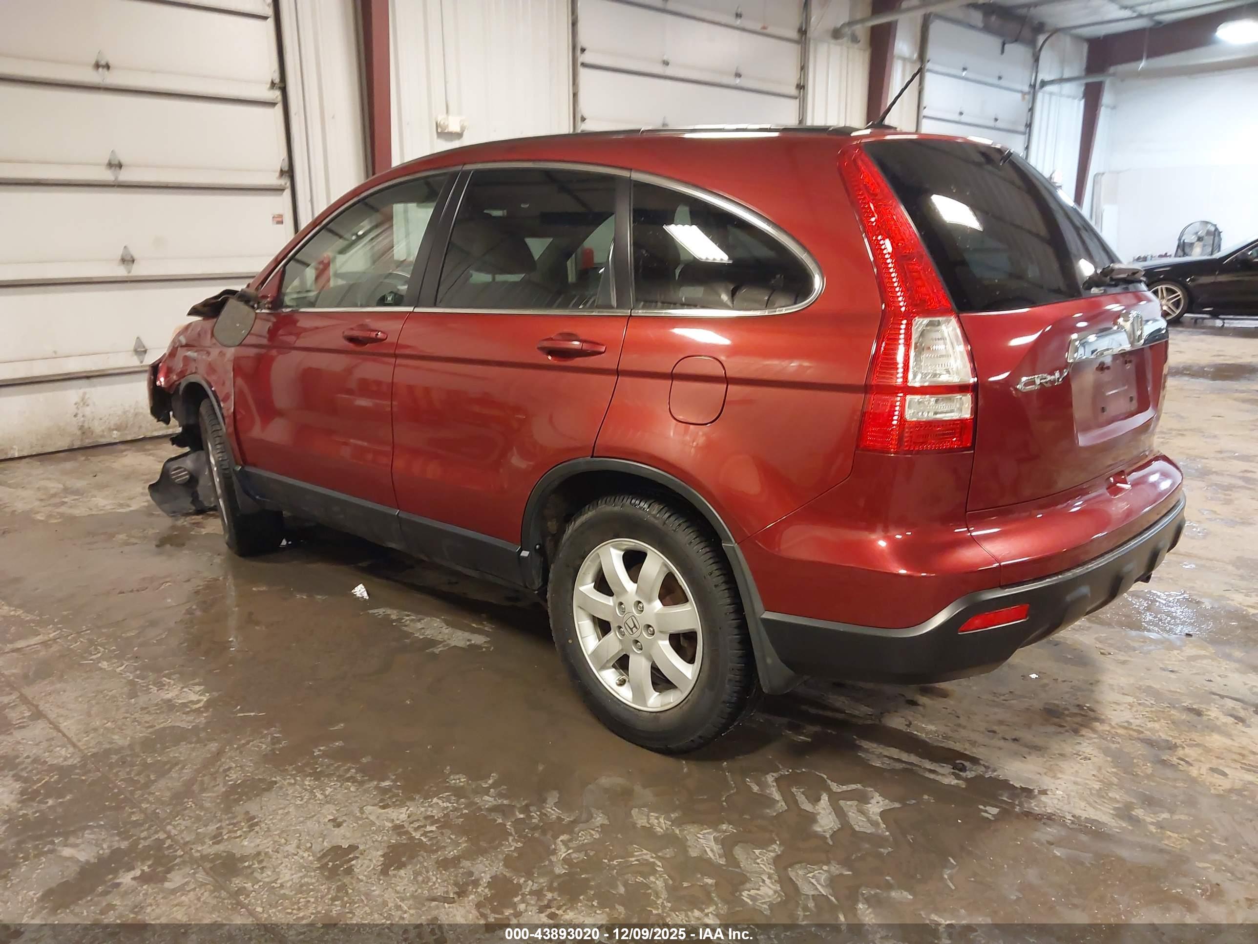 HONDA CR-V image 3